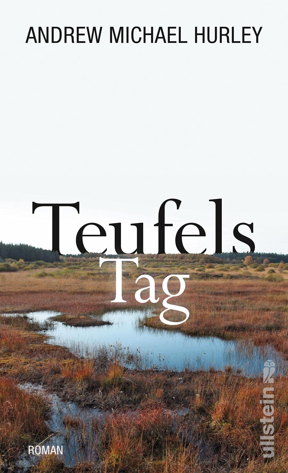 Teufels Tag Contemporary literature Books