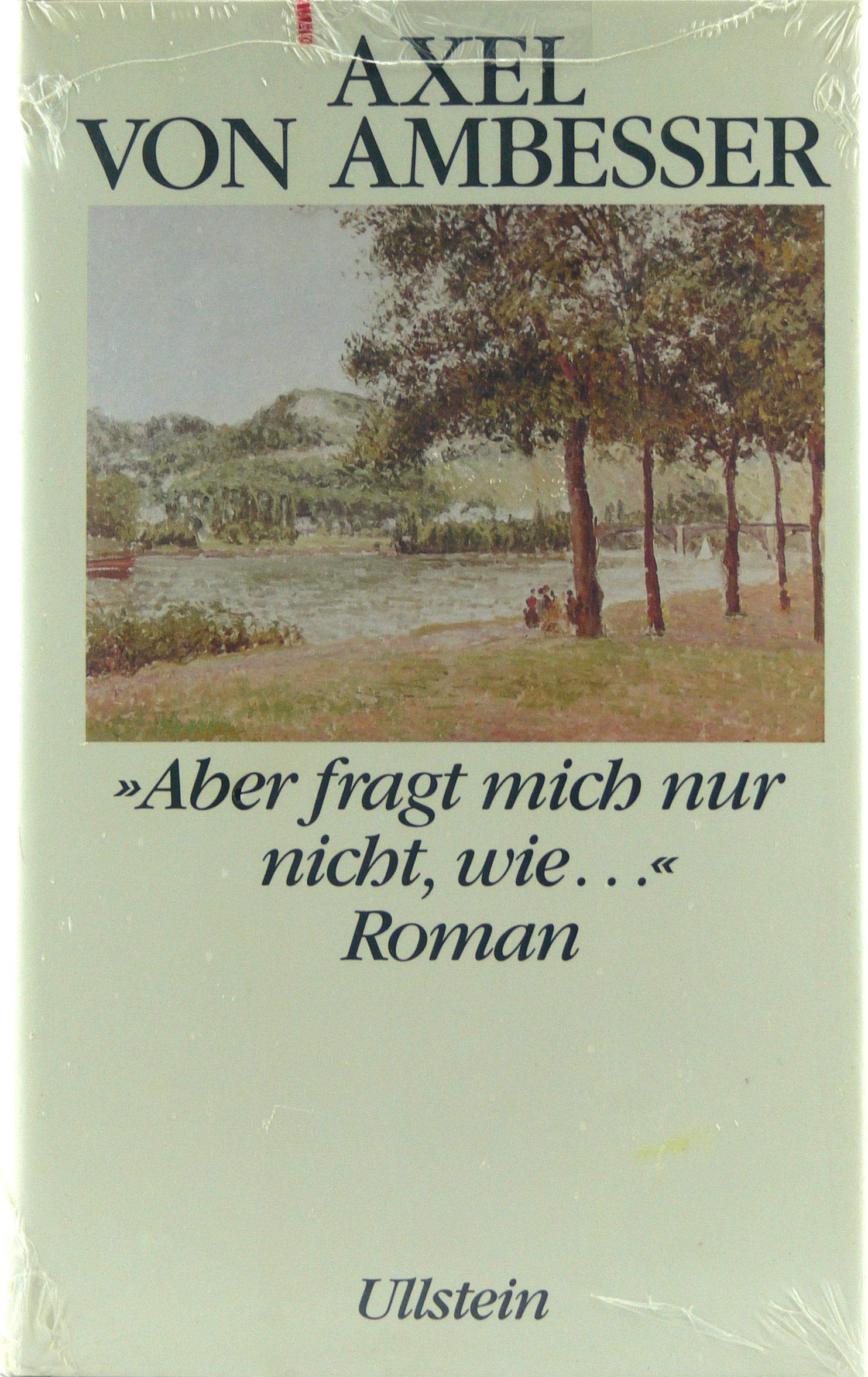 'Aber fragt mich nur nicht, wie . . .': Roman Books