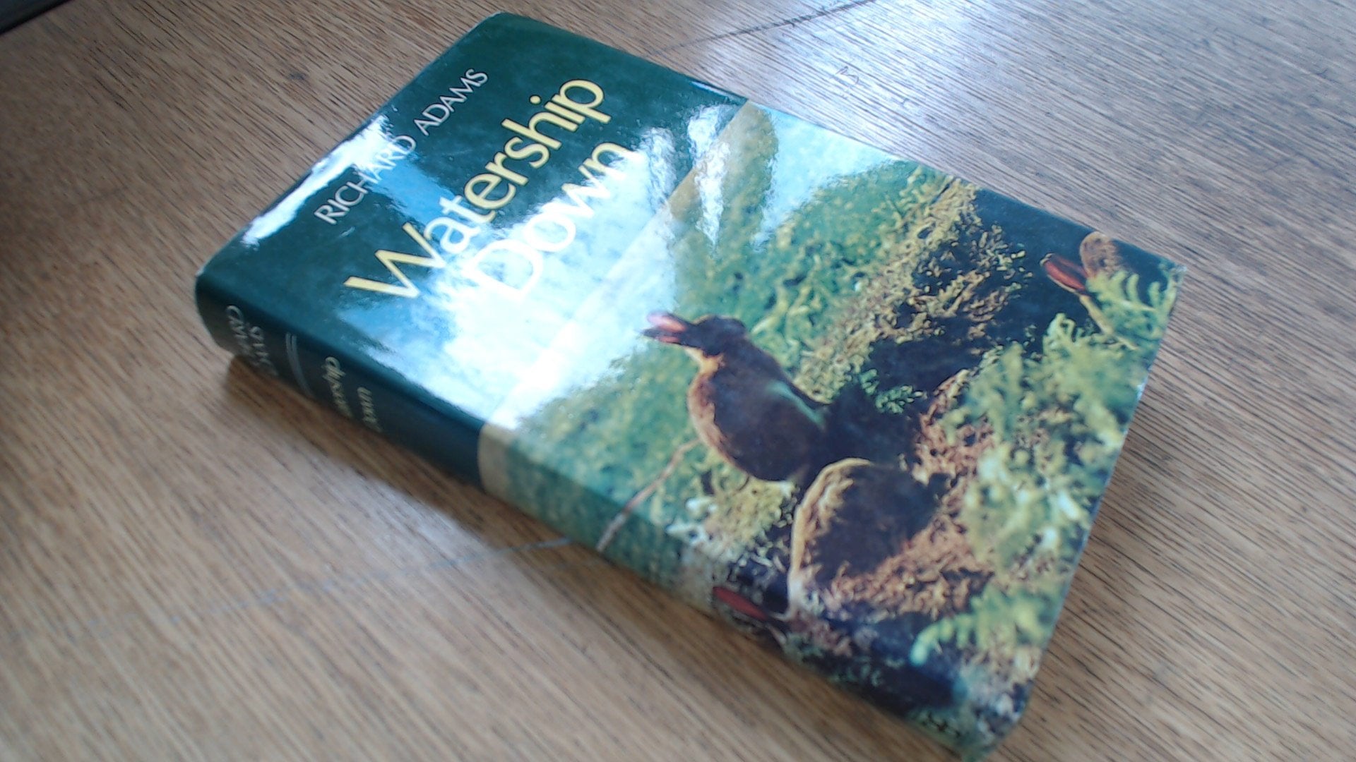 Unten am Fluss - Watership down: Roman Contemporary literature