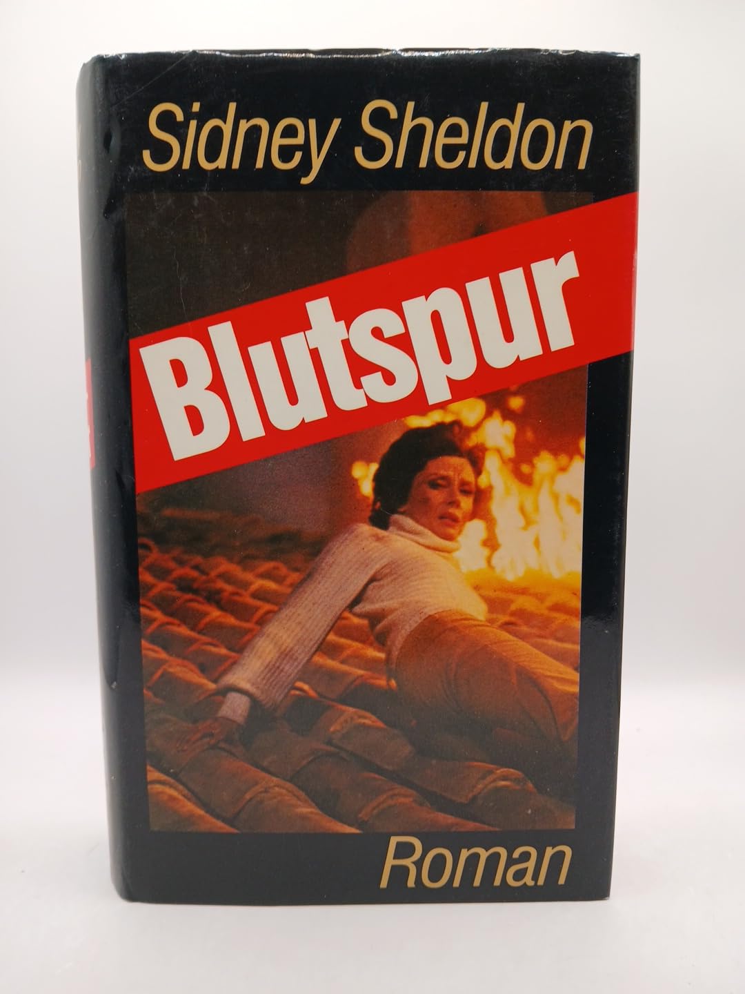 Blutspur: Roman Contemporary literature Books