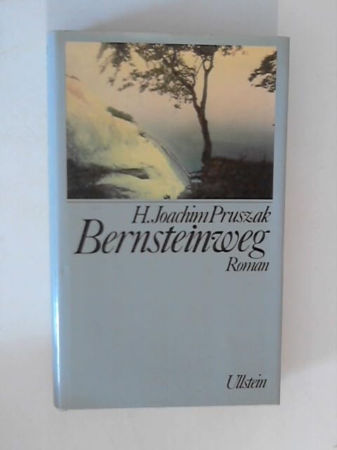 Bernsteinweg. Roman Books