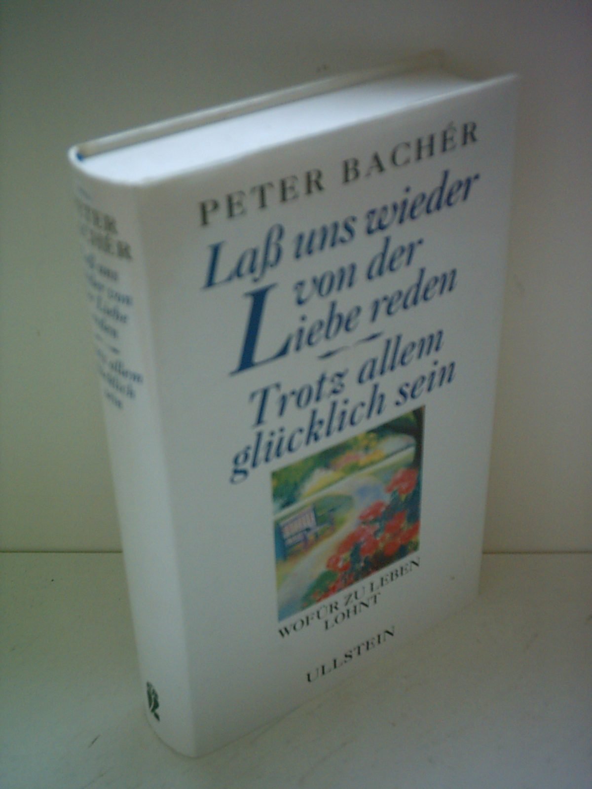 Lass uns wieder von der Liebe reden /Trotz allem glücklich sein Fiction