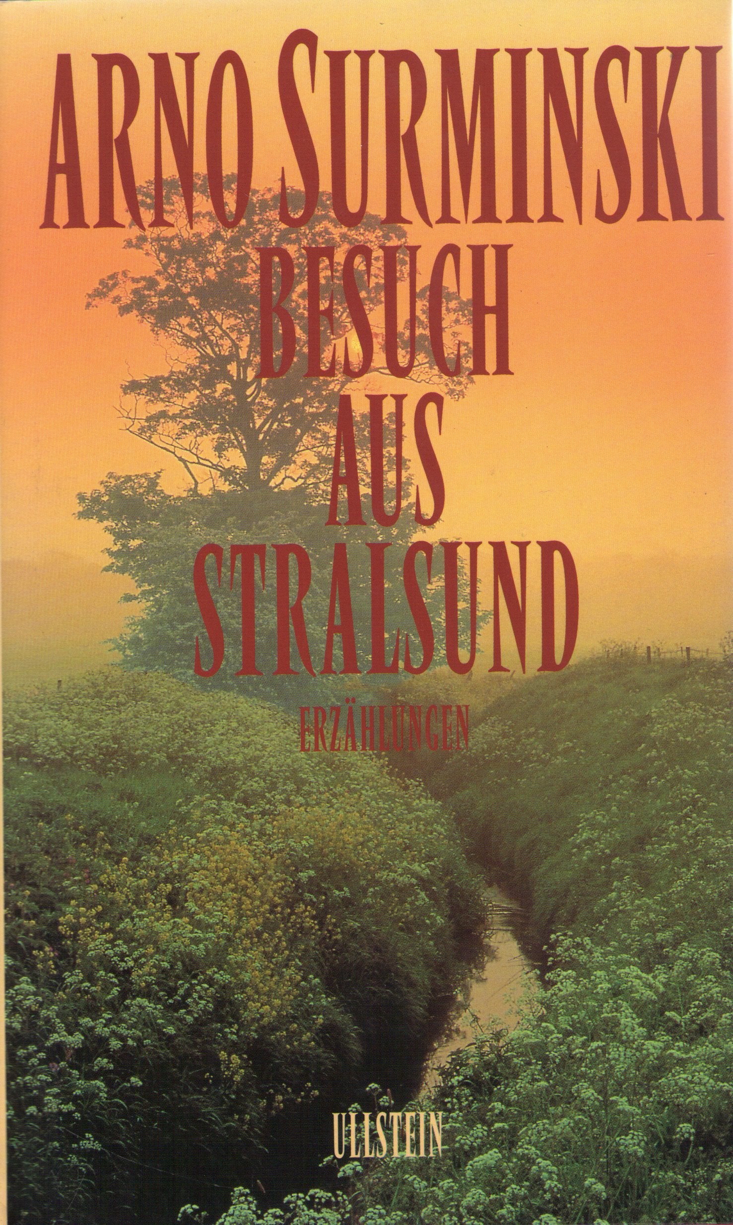 Besuch aus Stralsund: Erzählungen Contemporary literature
