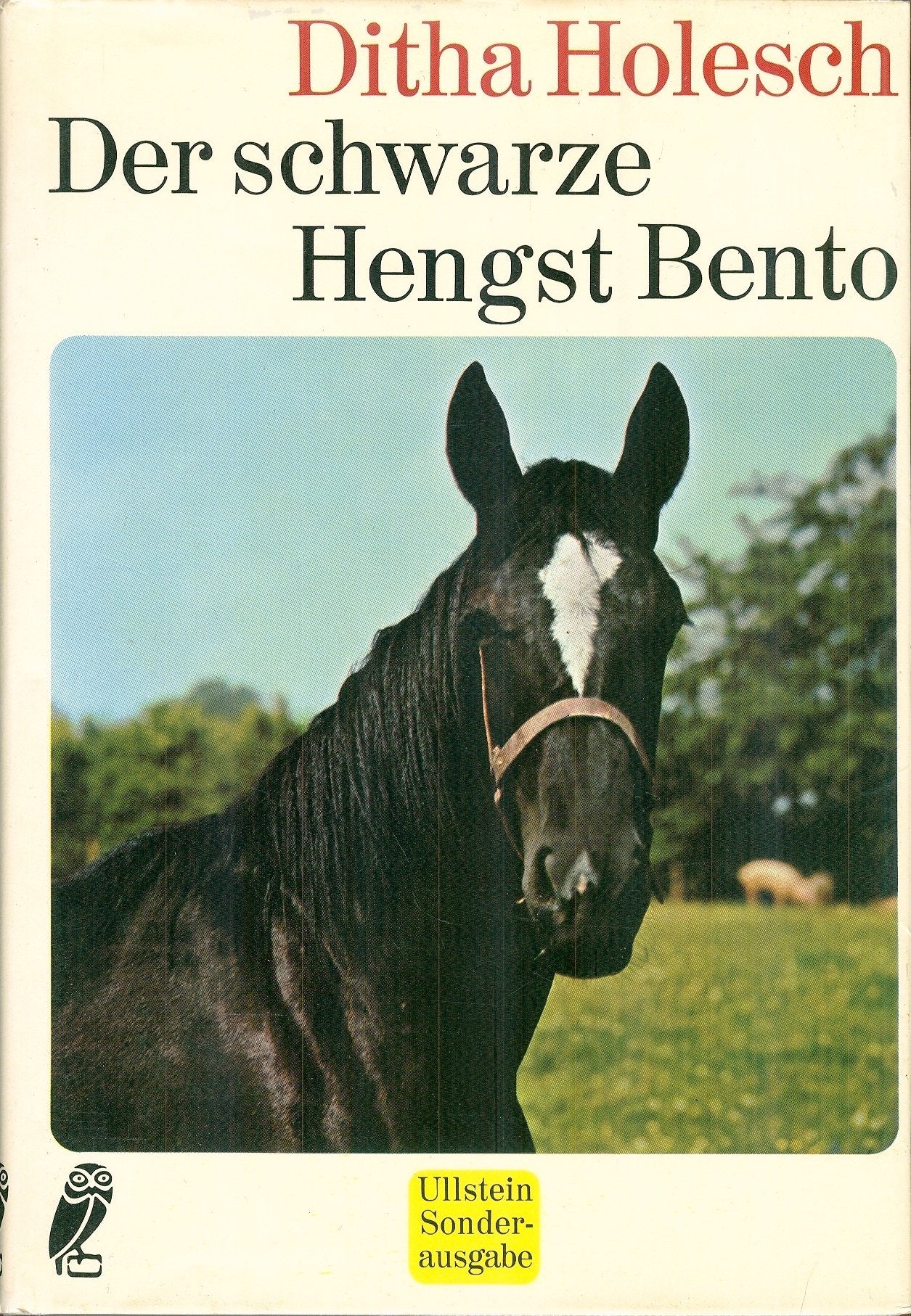 Der schwarze Hengst Bento Contemporary literature