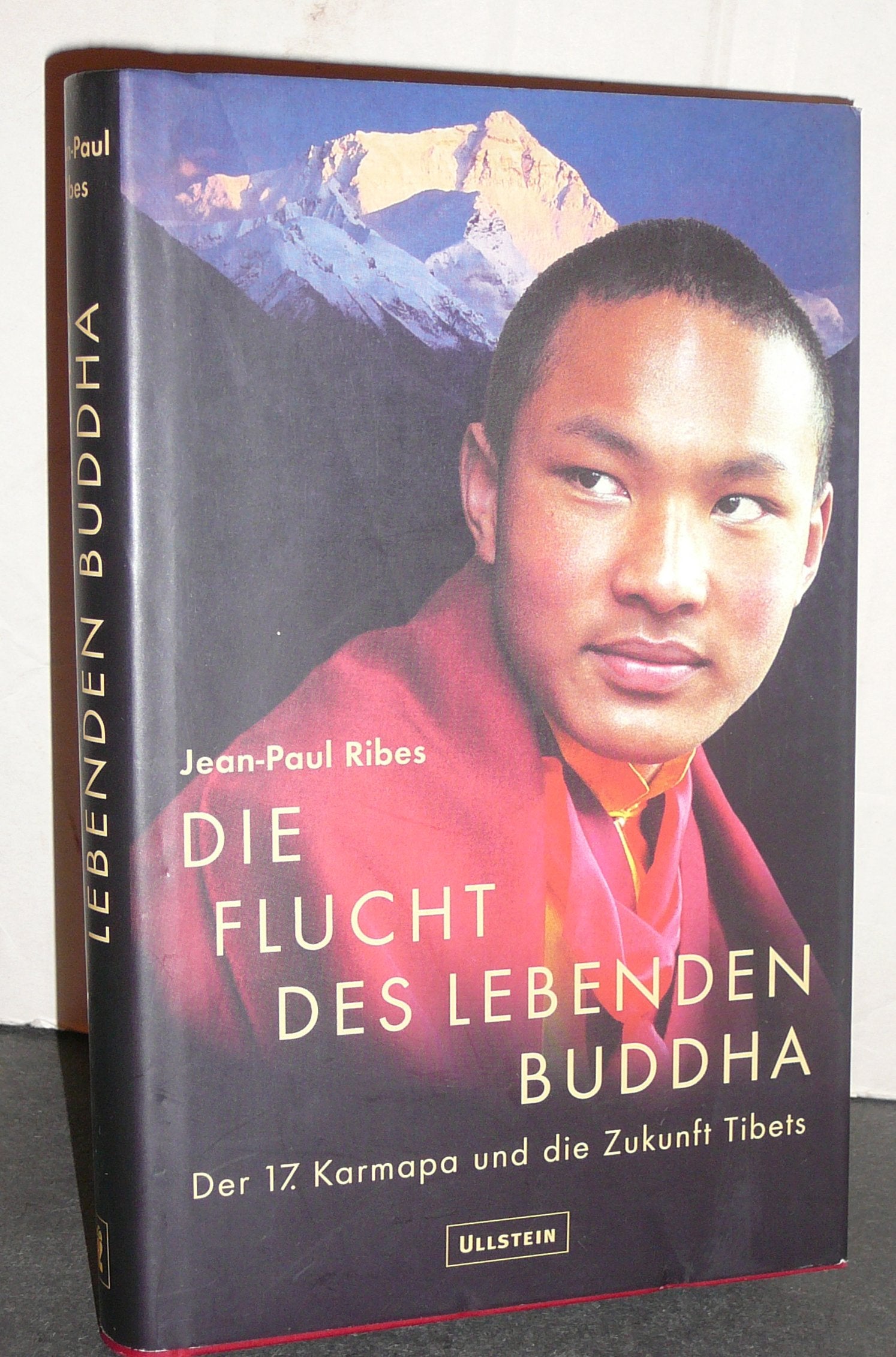 Die Flucht des lebenden Buddha. Der 17. Karmapa Lama und die Zukunft Tibets Politics & History