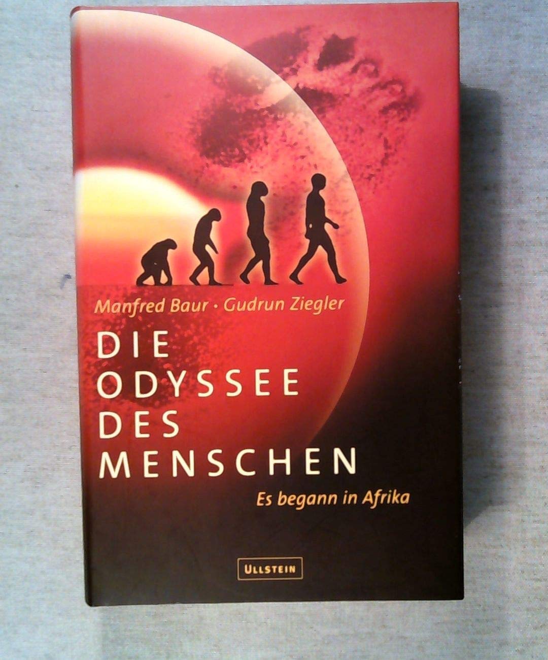 Die Odyssee des Menschen. Es begann in Afrika Natural Sciences