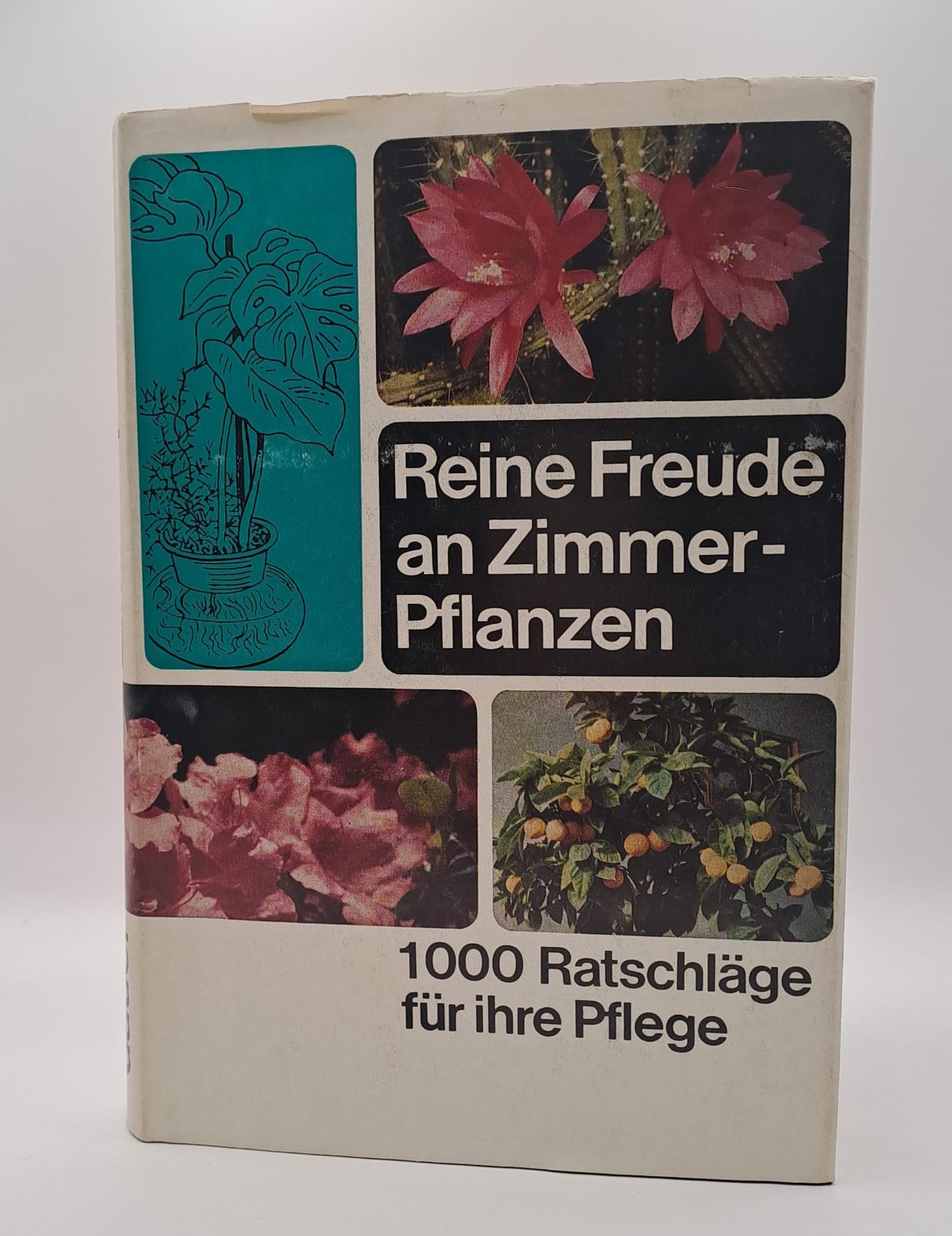 Reine Freude an Zimmerpflanzen. 1000 Ratschläge für ihre Pflege Learning & Reference