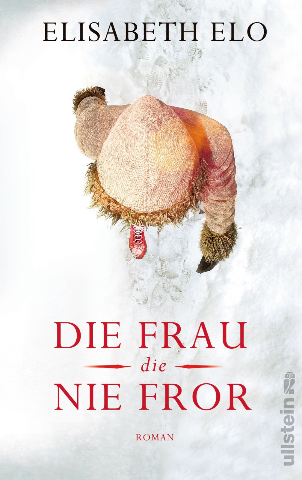 Die Frau, die nie fror: Roman Contemporary literature