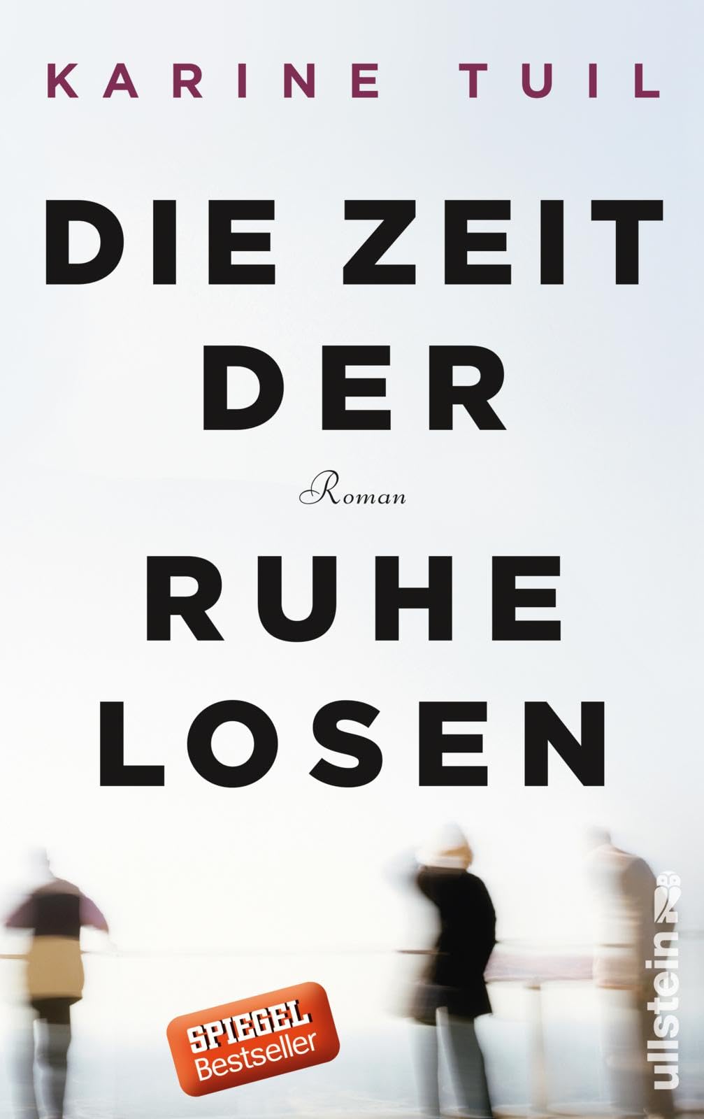 Die Zeit der Ruhelosen Contemporary literature