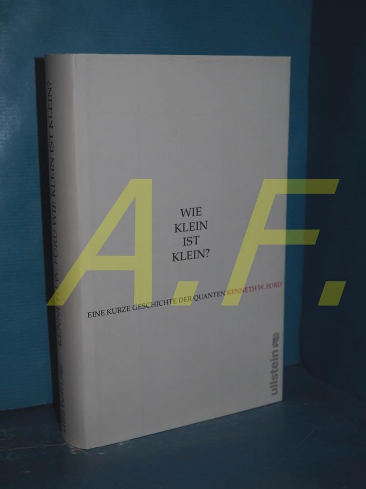 Wie klein ist klein?: Eine kurze Geschichte der Quanten Mathematics