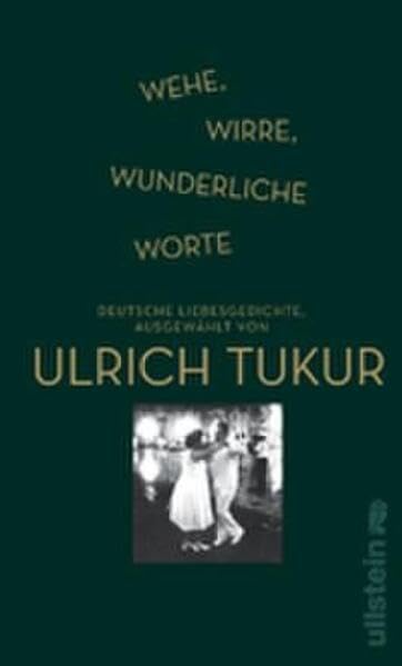Wehe, wirre, wunderliche Worte Poetry