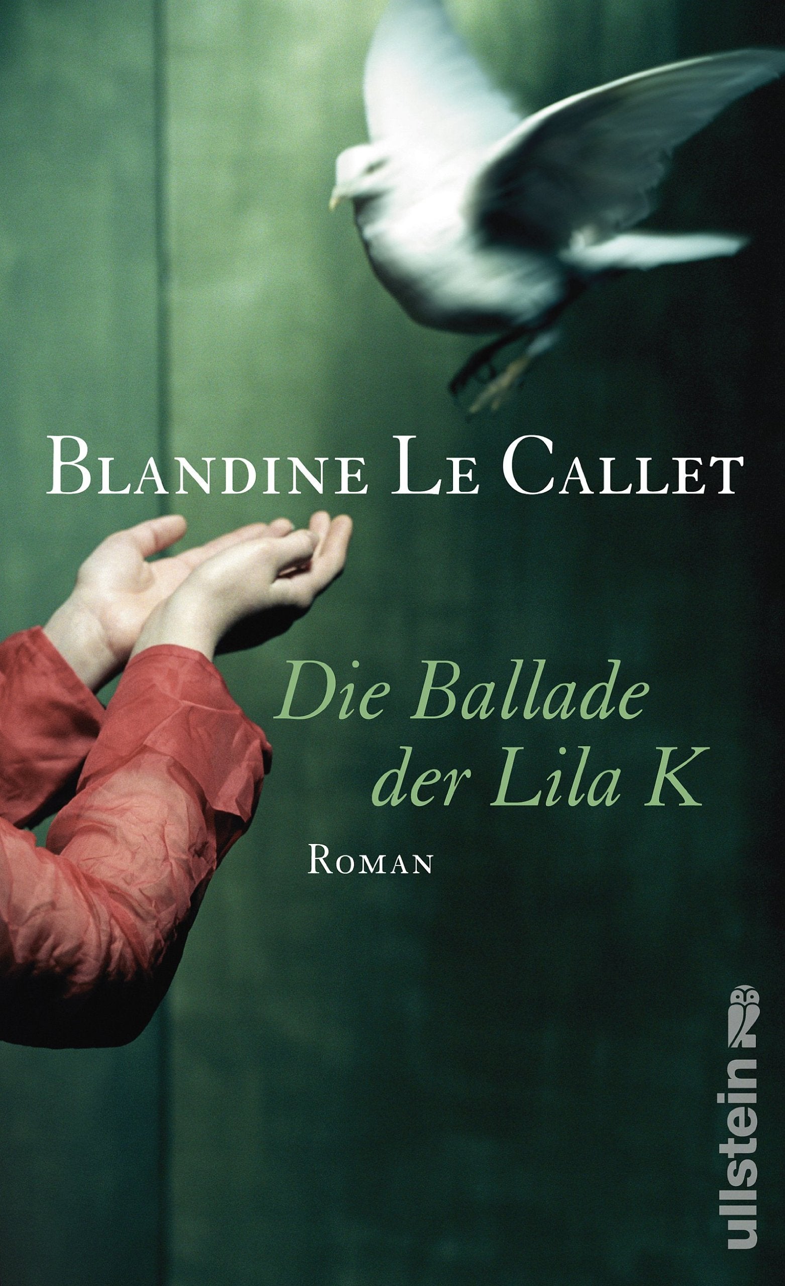 Die Ballade der Lila K: Roman Contemporary literature