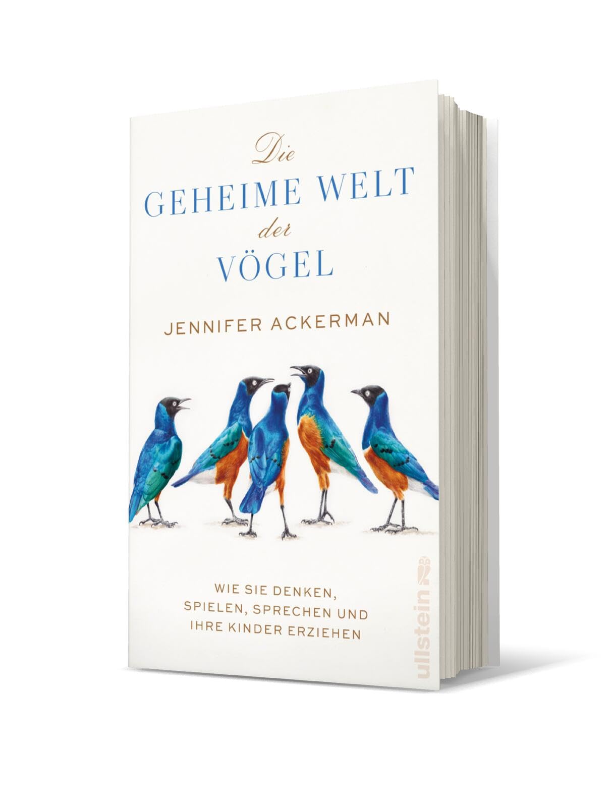 Product Image: Die geheime Welt der Vögel