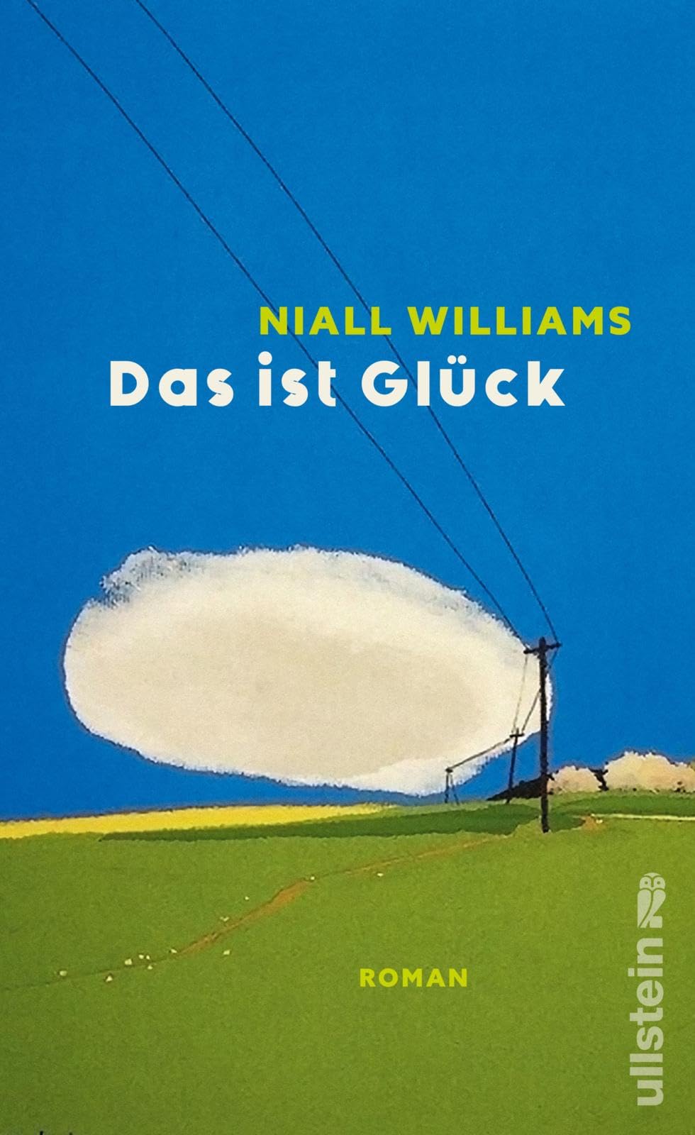 Das ist Glück Contemporary literature Books