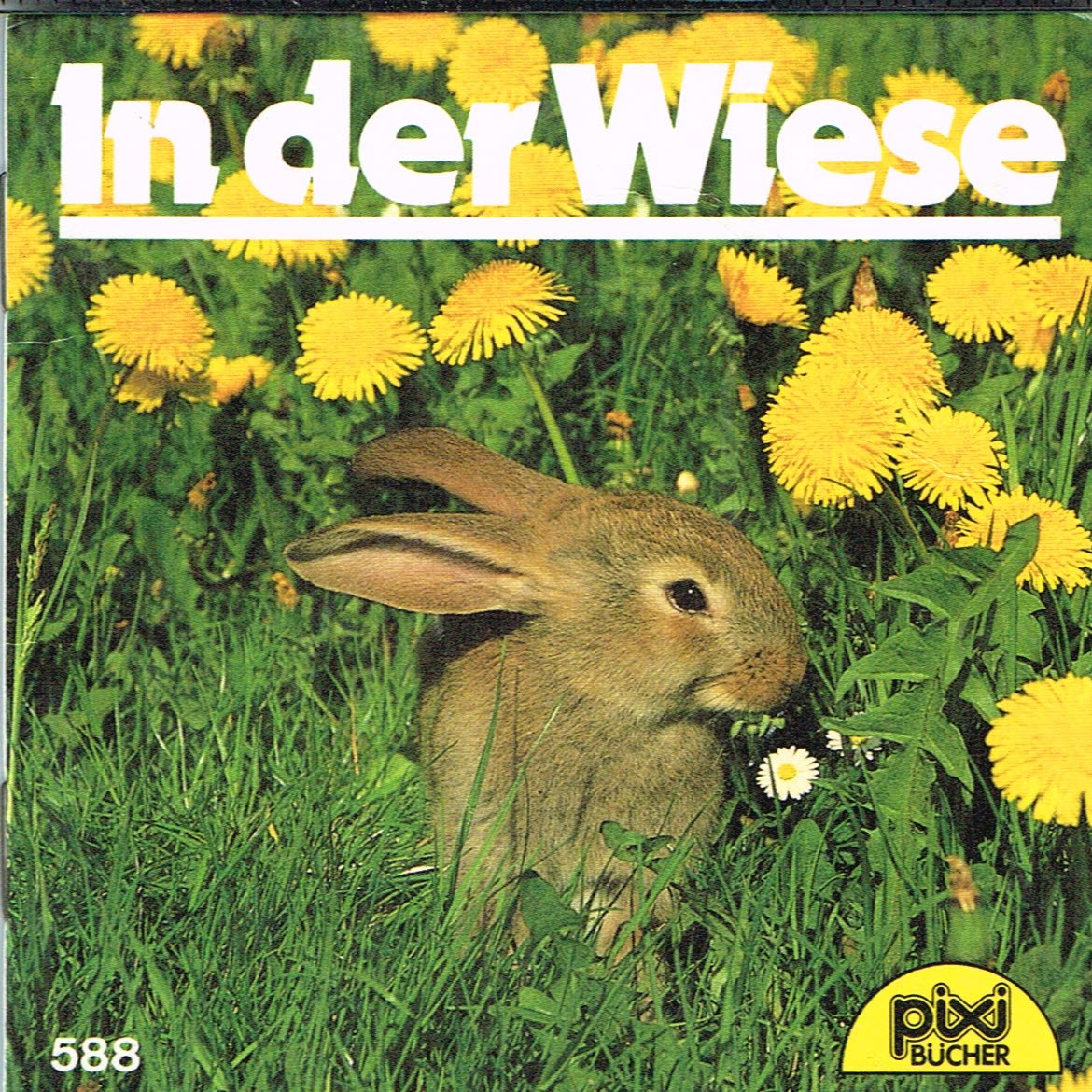 In der Wiese Books