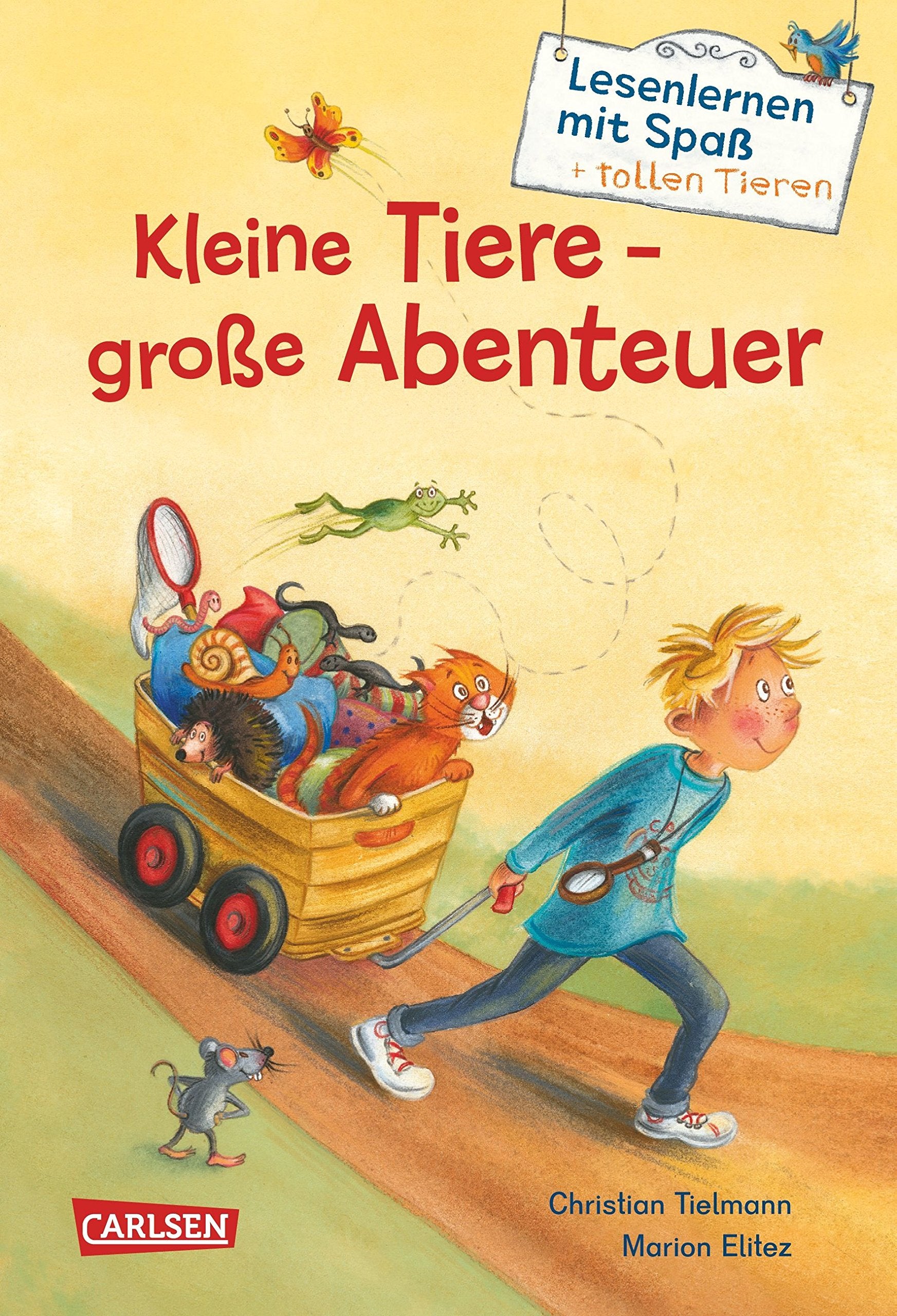 Kleine Tiere - große Abenteuer (Lesenlernen mit Spaß + tollen Tieren 1) Learning & Reference