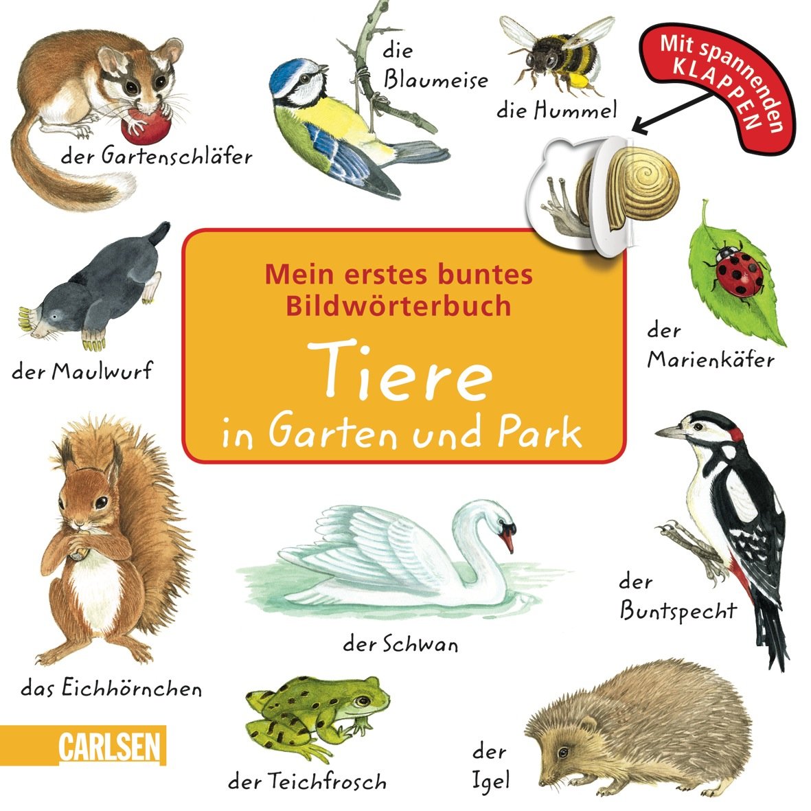 Mein erstes buntes Bildwörterbuch: Tiere in Garten und Park Children's books