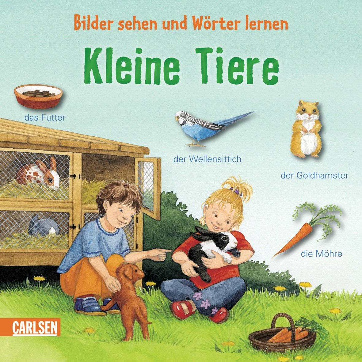 Bilder sehen und Wörter lernen: Kleine Tiere book