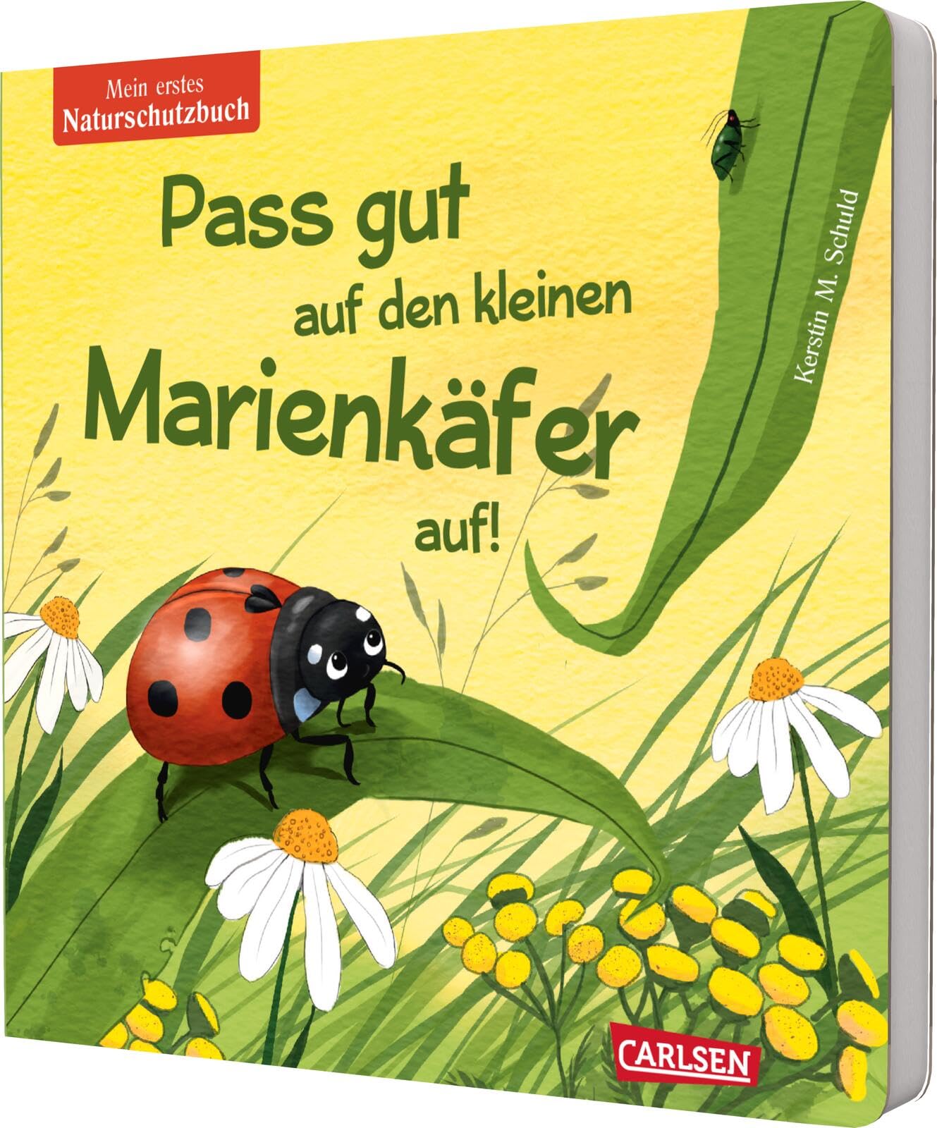 Pass gut auf den kleinen Marienkäfer auf Non-fiction