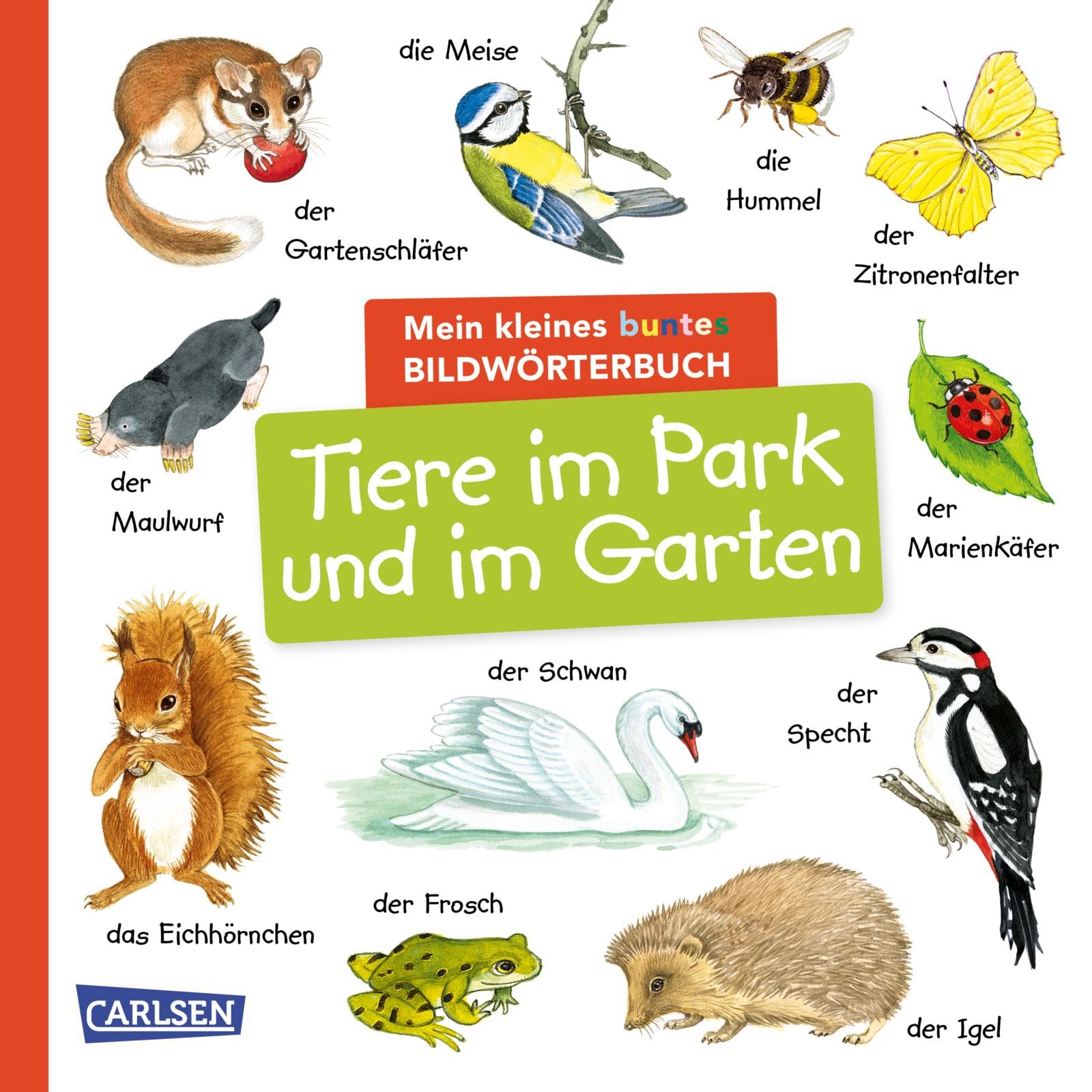 Mein kleines buntes Bildwörterbuch: Tiere im Park und im Garten Non-fiction