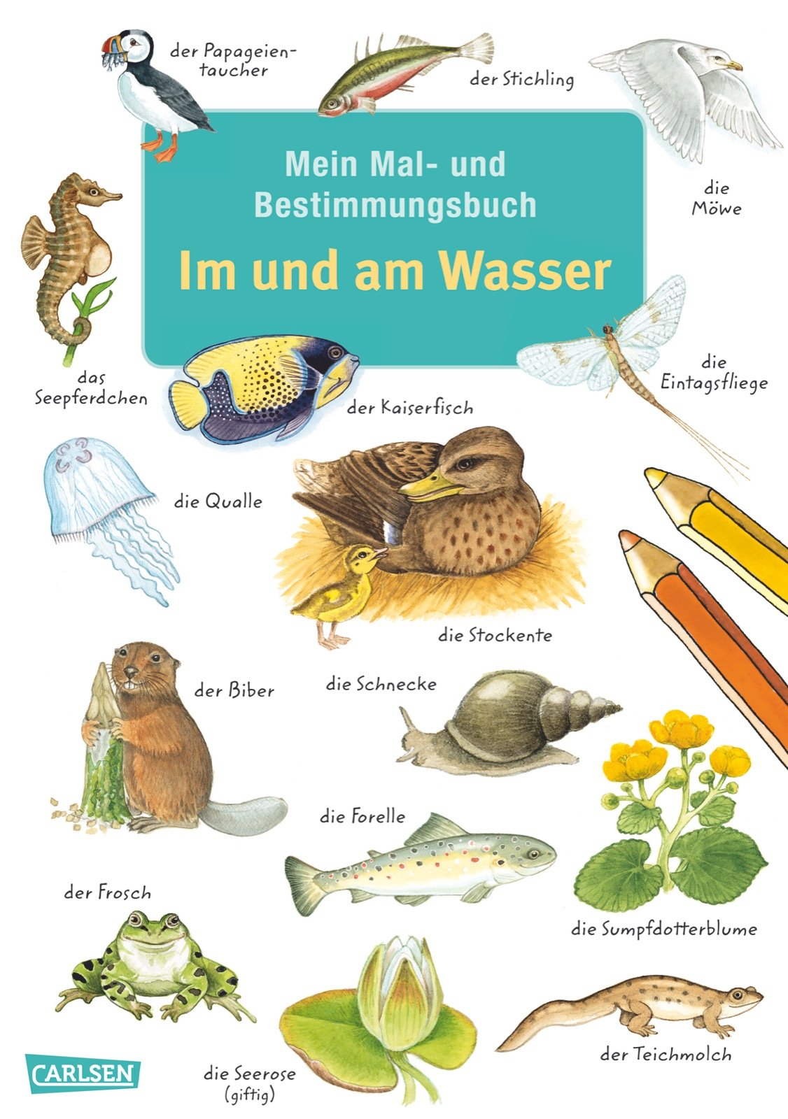 Mein Mal- und Bestimmungsbuch - Im und am Wasser Non-fiction