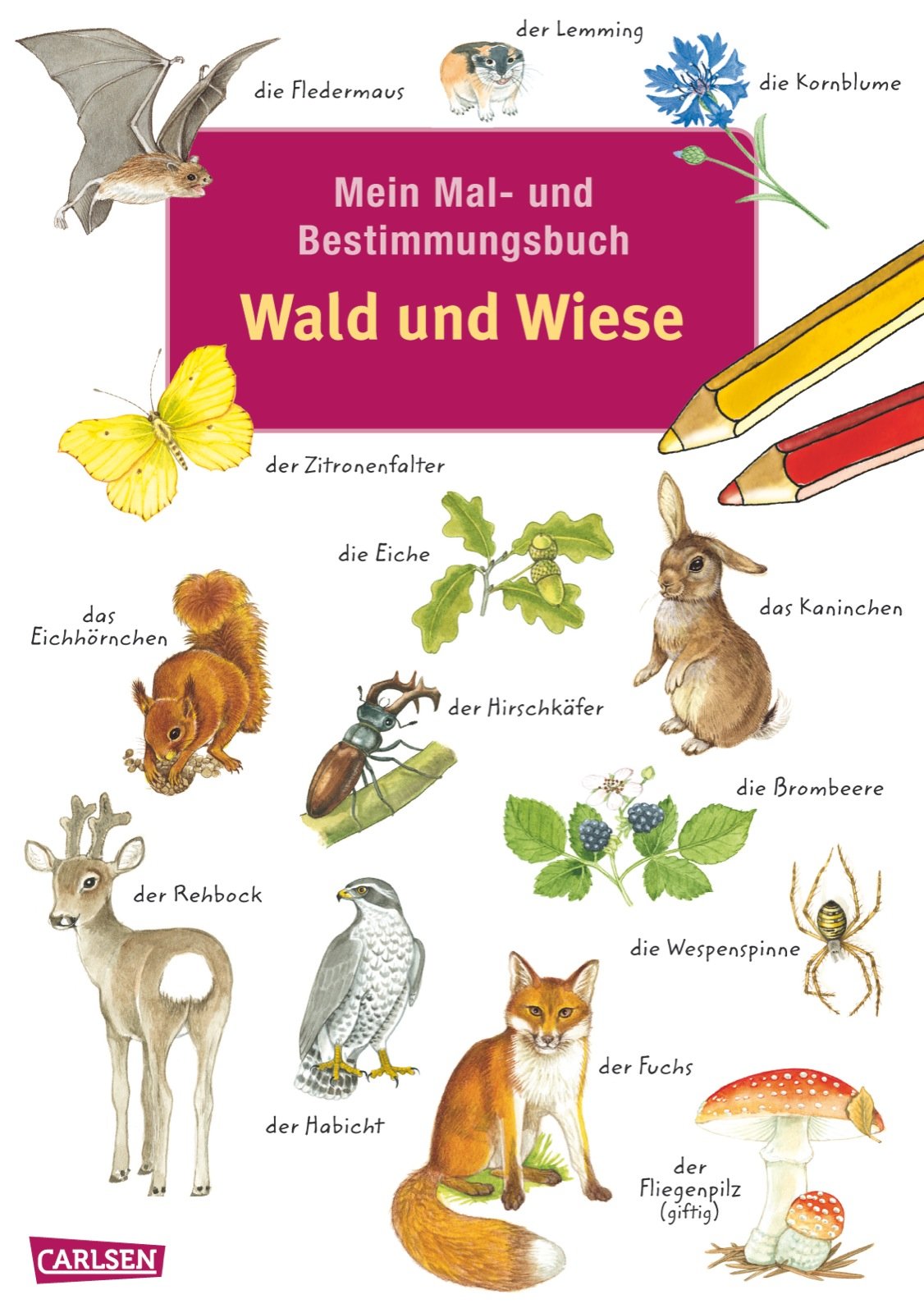 Mein Mal- und Bestimmungsbuch - Wald und Wiese Natural Sciences