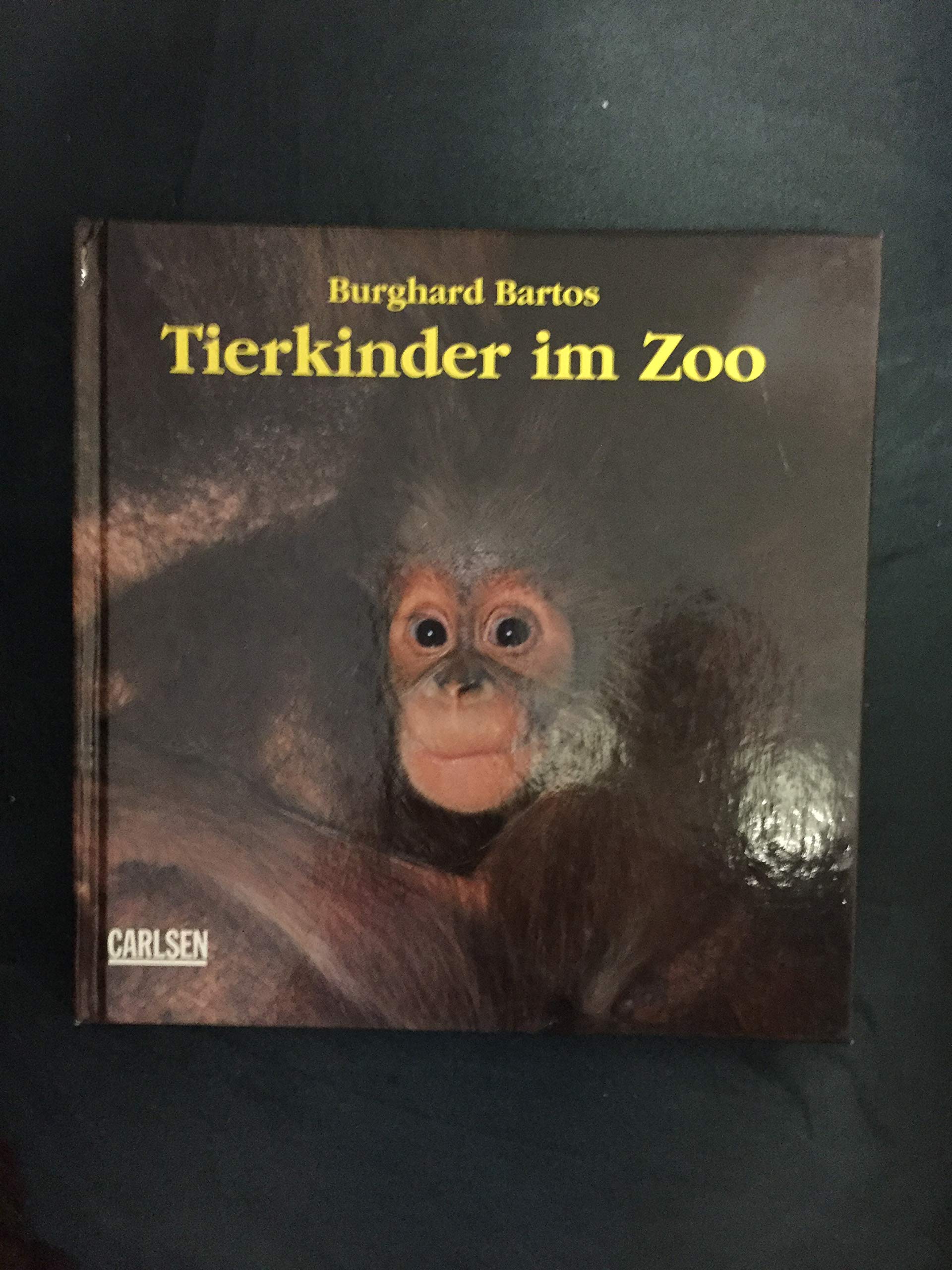 Tierkinder im Zoo Books