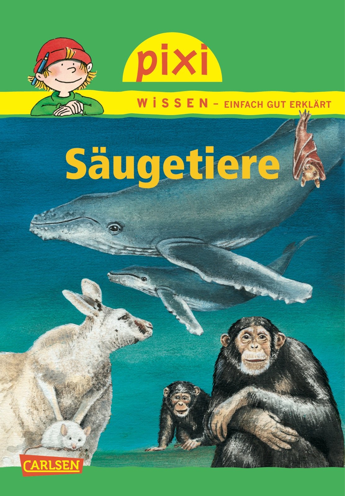 Pixi Wissen 59. Säugetiere book