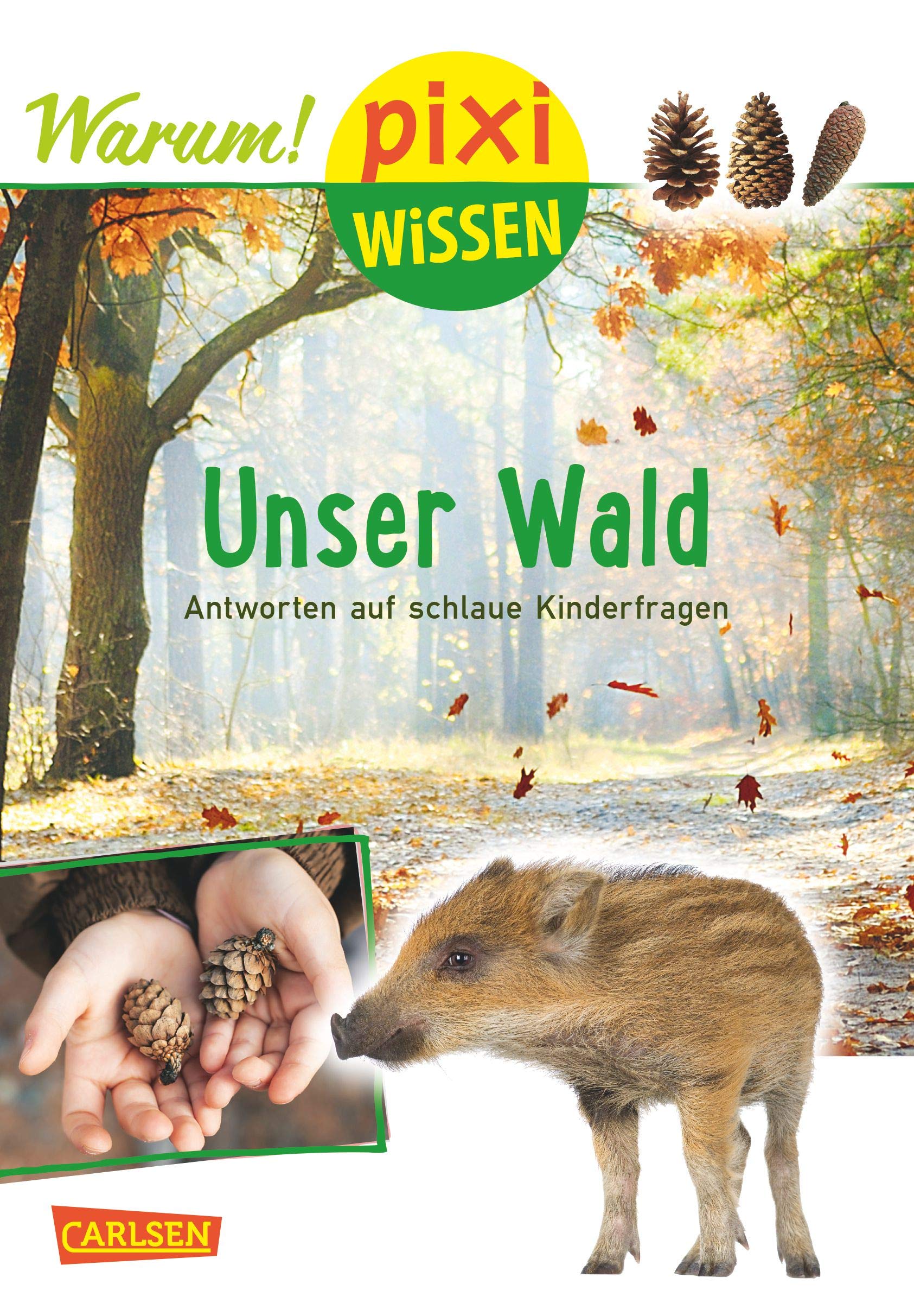 Pixi Wissen 93: Unser Wald (mit Fotos): Antworten auf schlaue Kinderfragen (93) Non-fiction