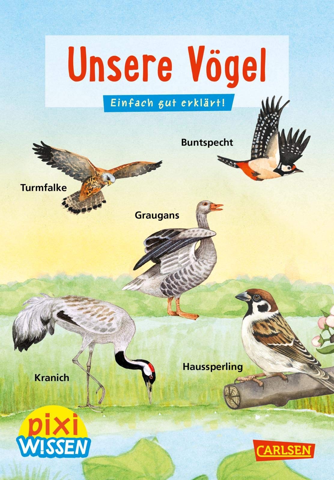 Pixi Wissen 108: Unsere Vögel: Einfach gut erklärt (108) General education