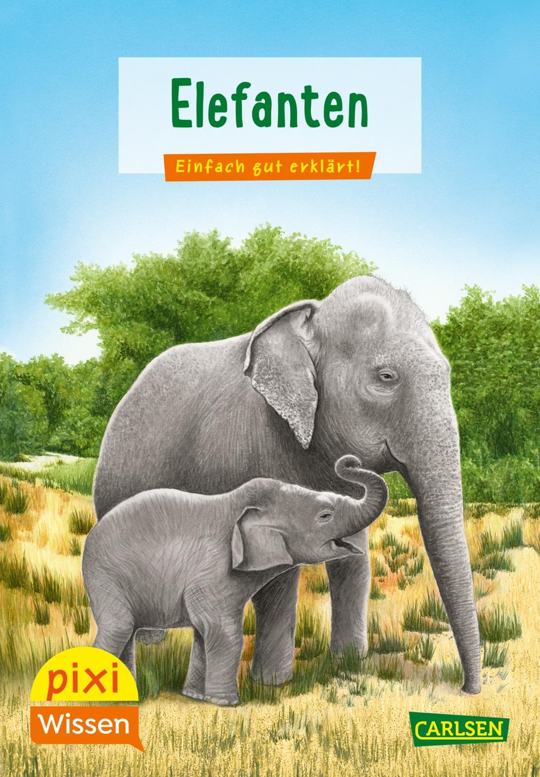 Pixi Wissen 18: Elefanten: Einfach gut erklärt! | Allgemeinwissen für Grundschulkinder (18) General education