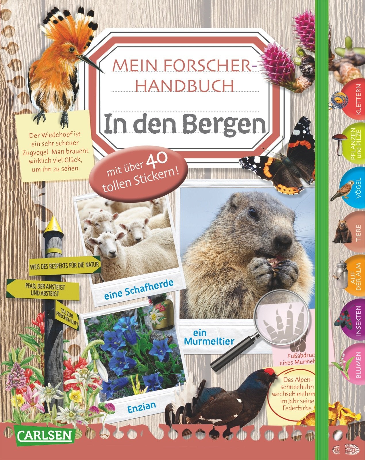 Mein Forscherhandbuch - In den Bergen Non-fiction