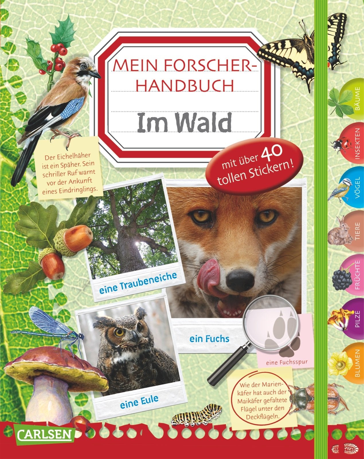 Mein Forscherhandbuch - Im Wald Non-fiction