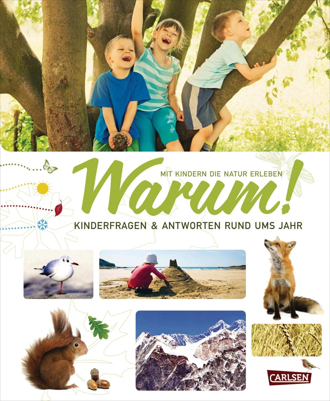Product Image: Warum!