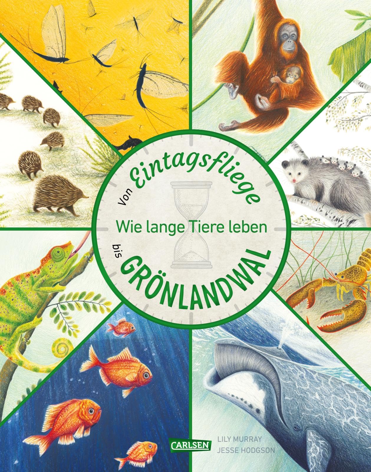 Von Eintagsfliege bis Grönlandwal Leisure, Home & Garden Books