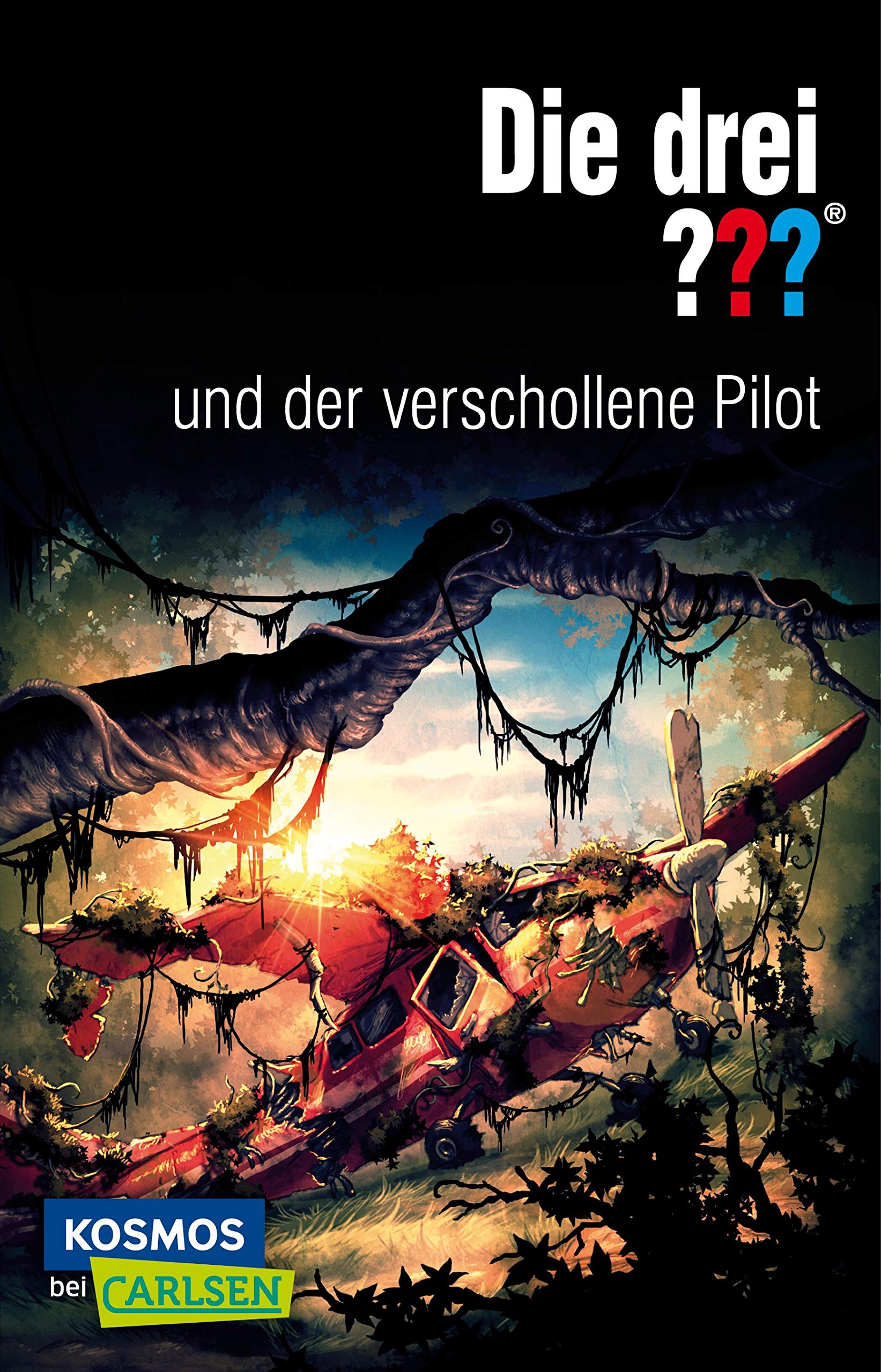 Die drei ??? und der verschollene Pilot (drei Fragezeichen) Novels & Short Stories