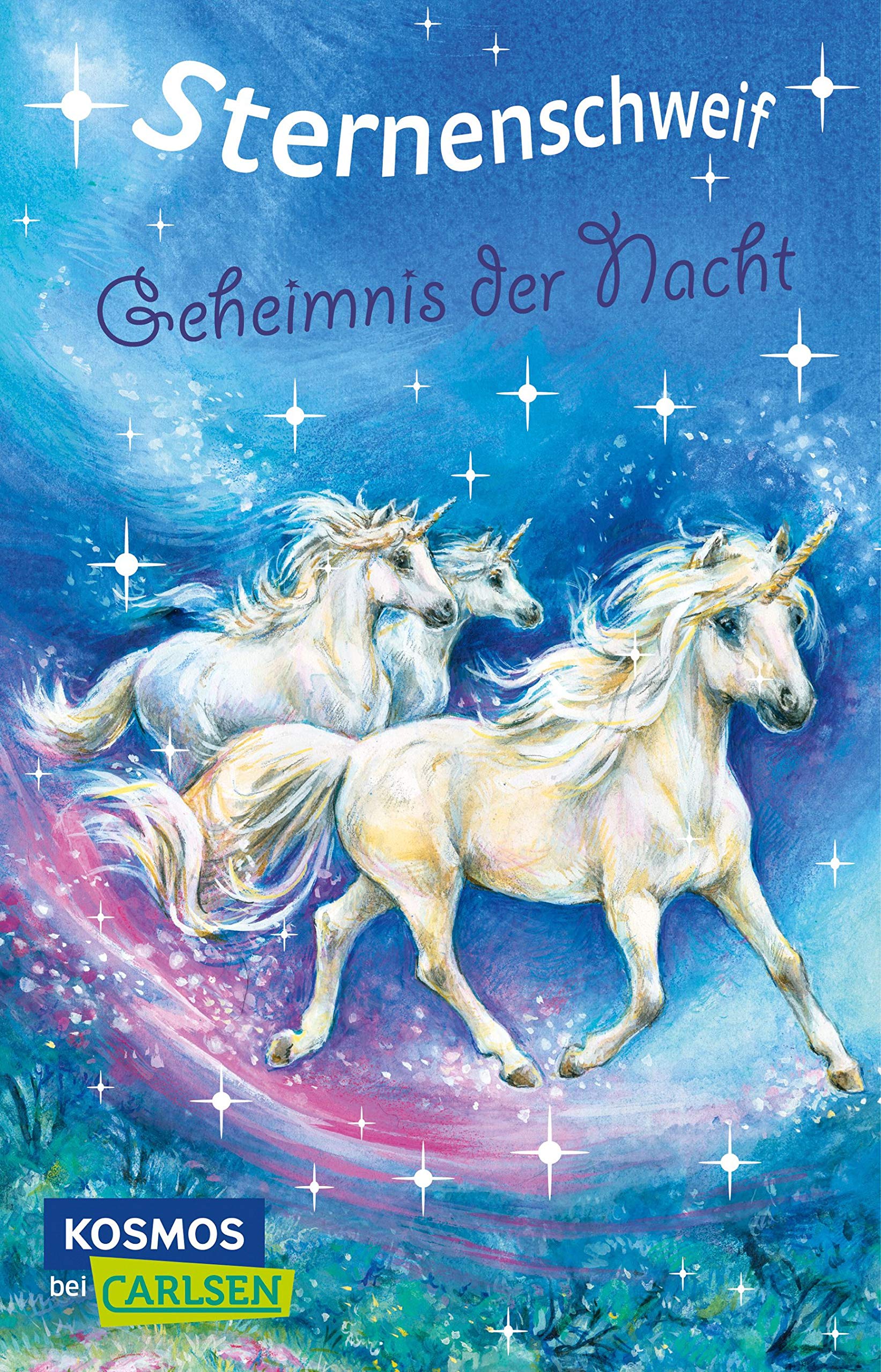 Sternenschweif 24: Geheimnis der Nacht Novels & Short Stories