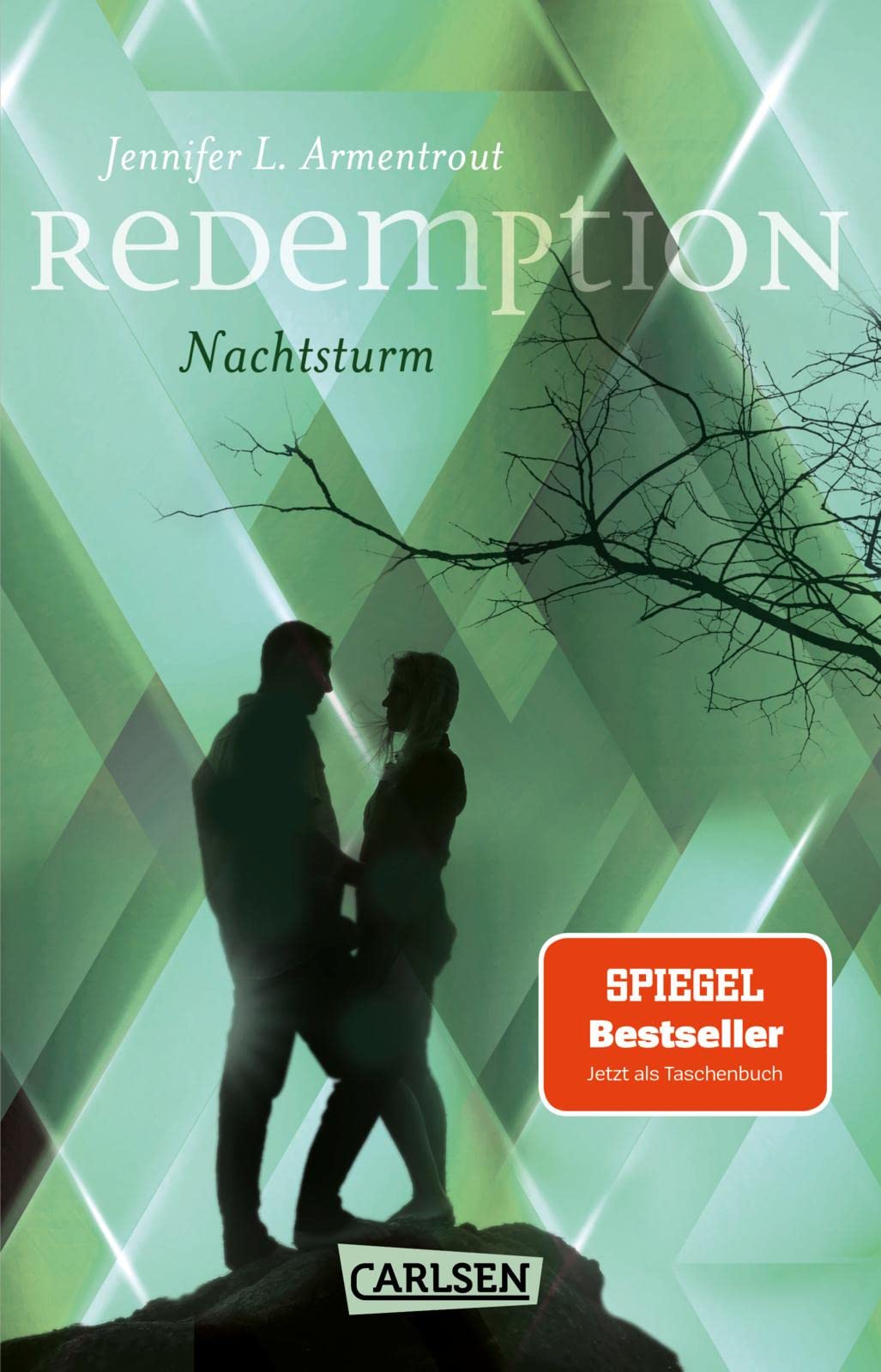 Redemption. Nachtsturm (Revenge 3) Contemporary literature