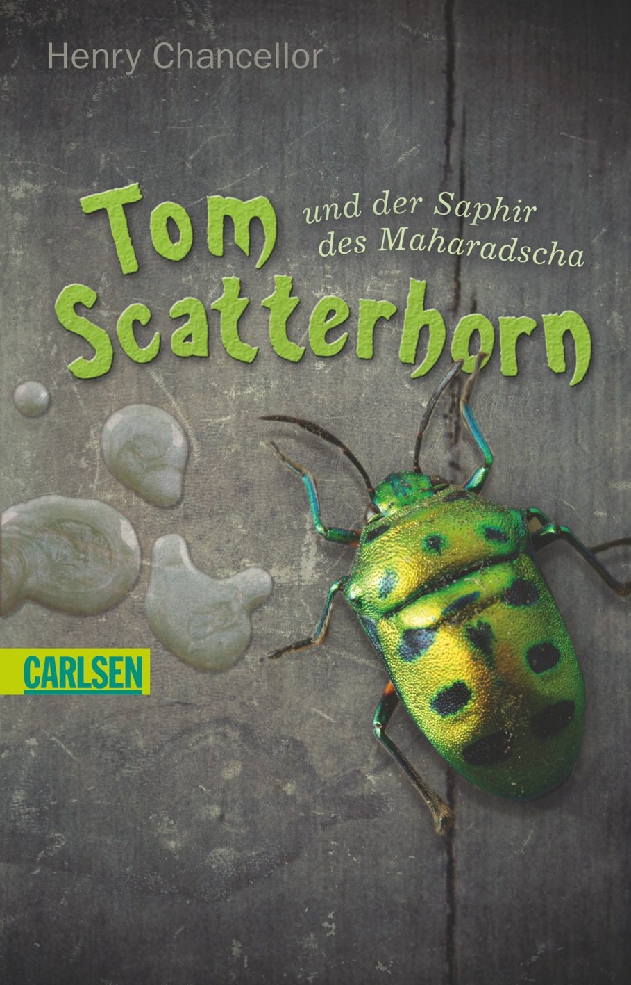Tom Scatterhorn, Band 1: Tom Scatterhorn und der Saphir des Maharadscha Fairy Tales & Legends