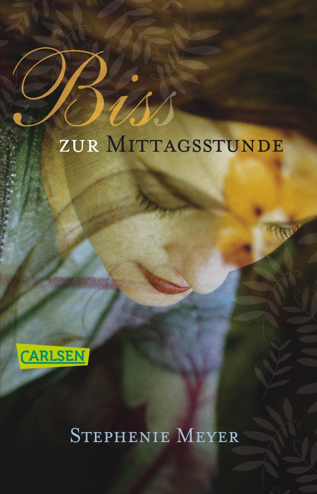 Bis (Biss) zur Mittagsstunde Contemporary literature Books