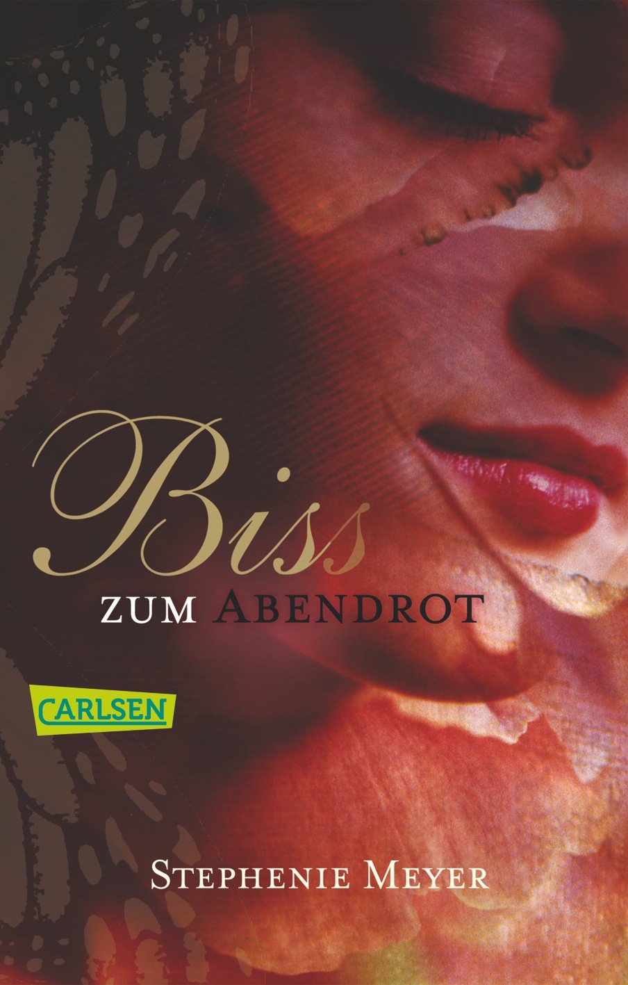 Bis (Biss) zum Abendrot Contemporary literature Books