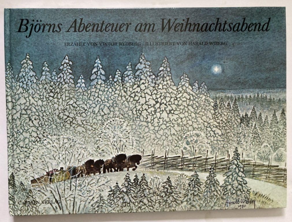 Björns Abenteuer am Weihnachtsabend Books