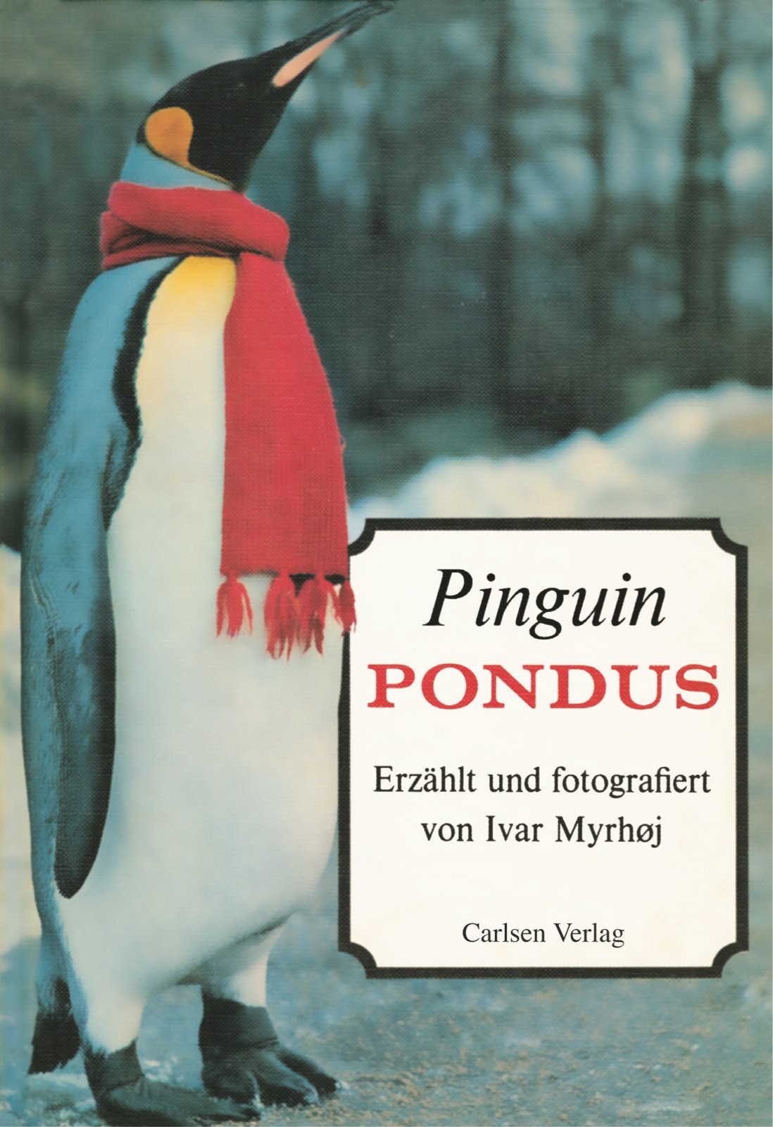 Product Image: Pinguin Pondus