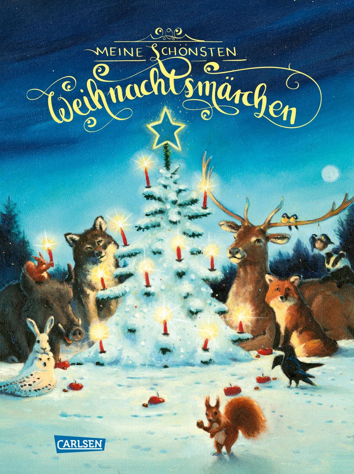 Meine schönsten Weihnachtsmärchen Non-fiction