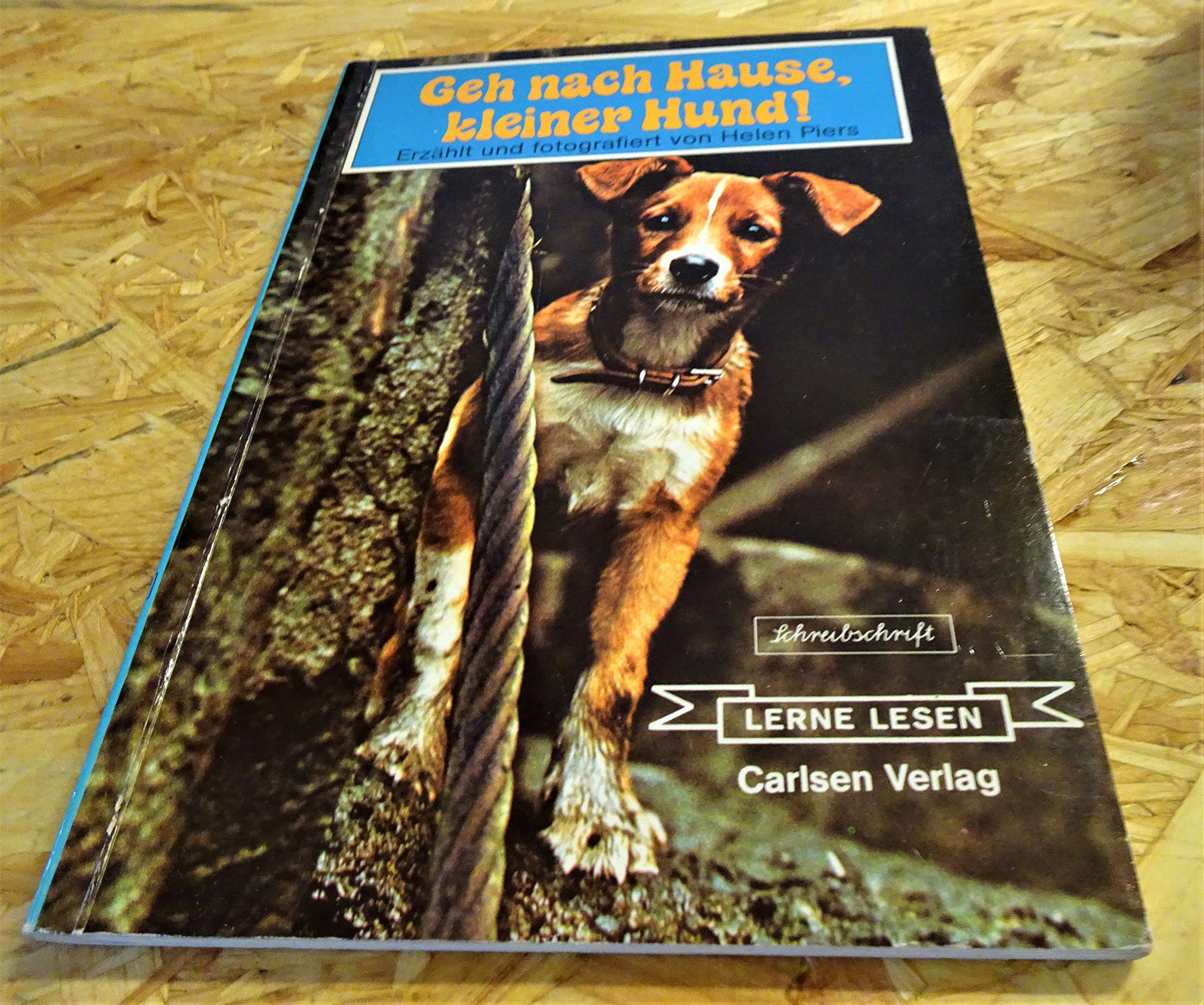 Geh nach Hause, kleiner Hund. Schreibschrift Books