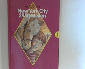 Product Image: New York City 2950 Meilen