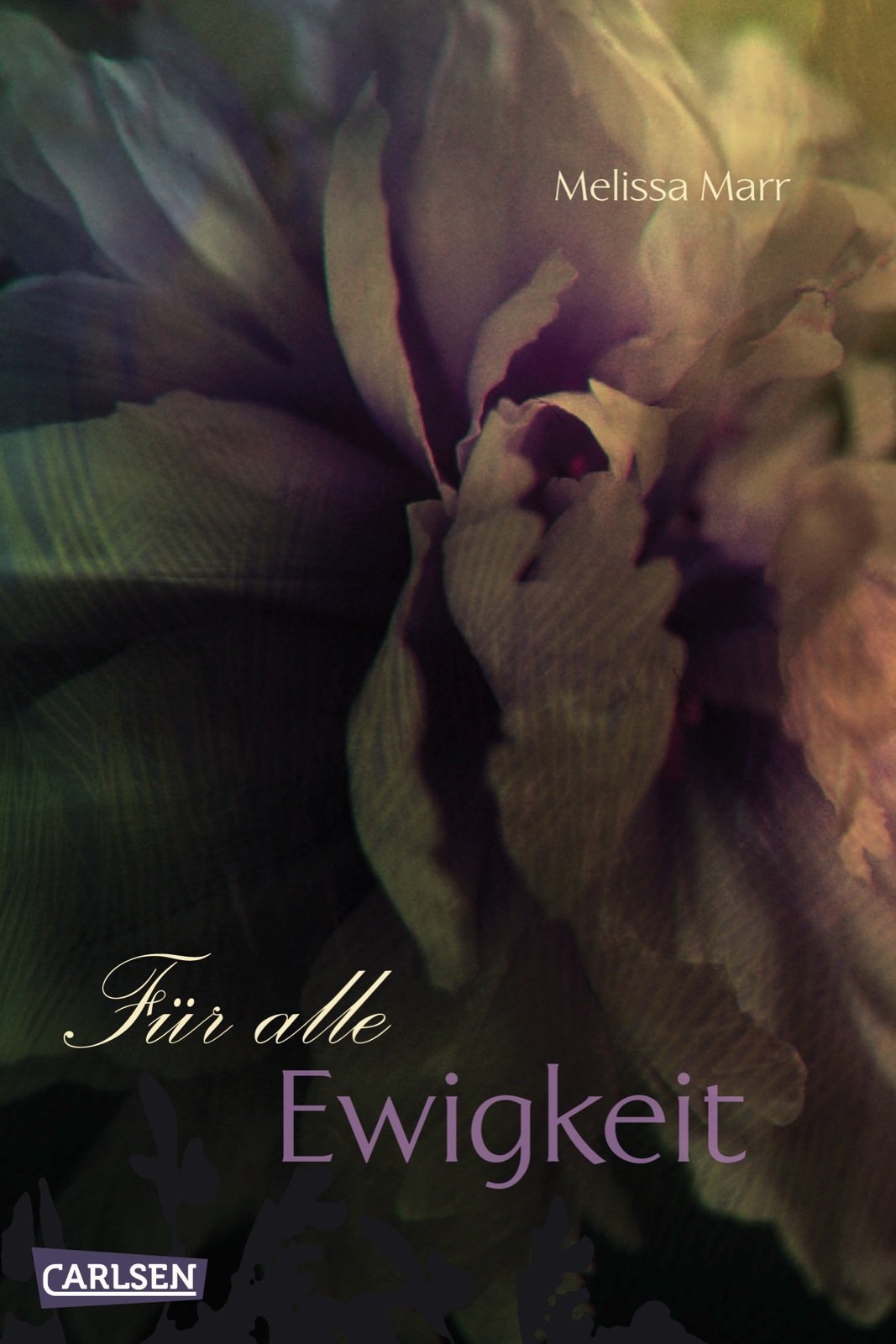 Sommerlicht-Serie, Band 3: Für alle Ewigkeit Romance