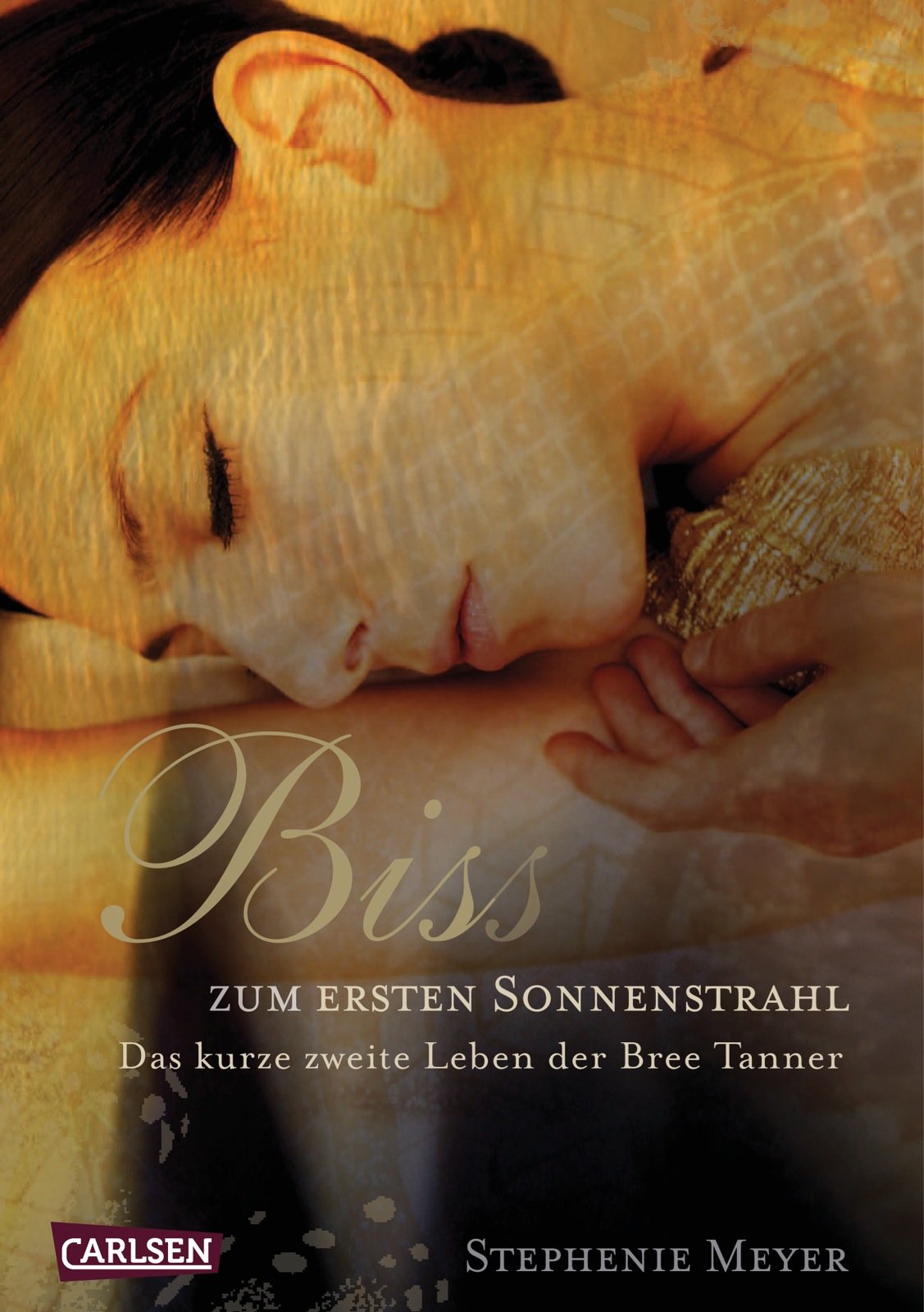Bis (Biss) zum ersten Sonnenstrahl Contemporary literature Books