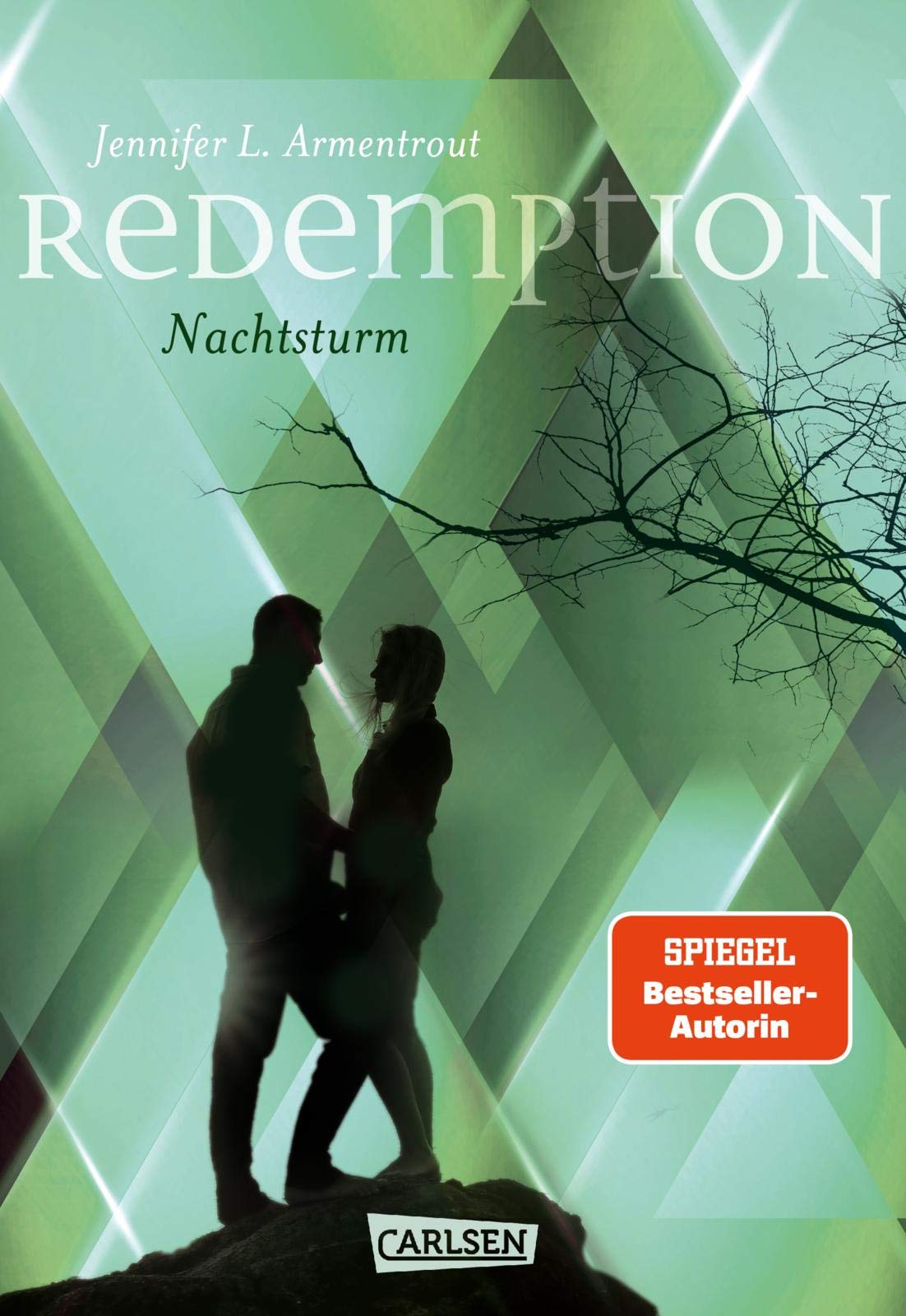 Redemption. Nachtsturm (Revenge 3) Contemporary literature