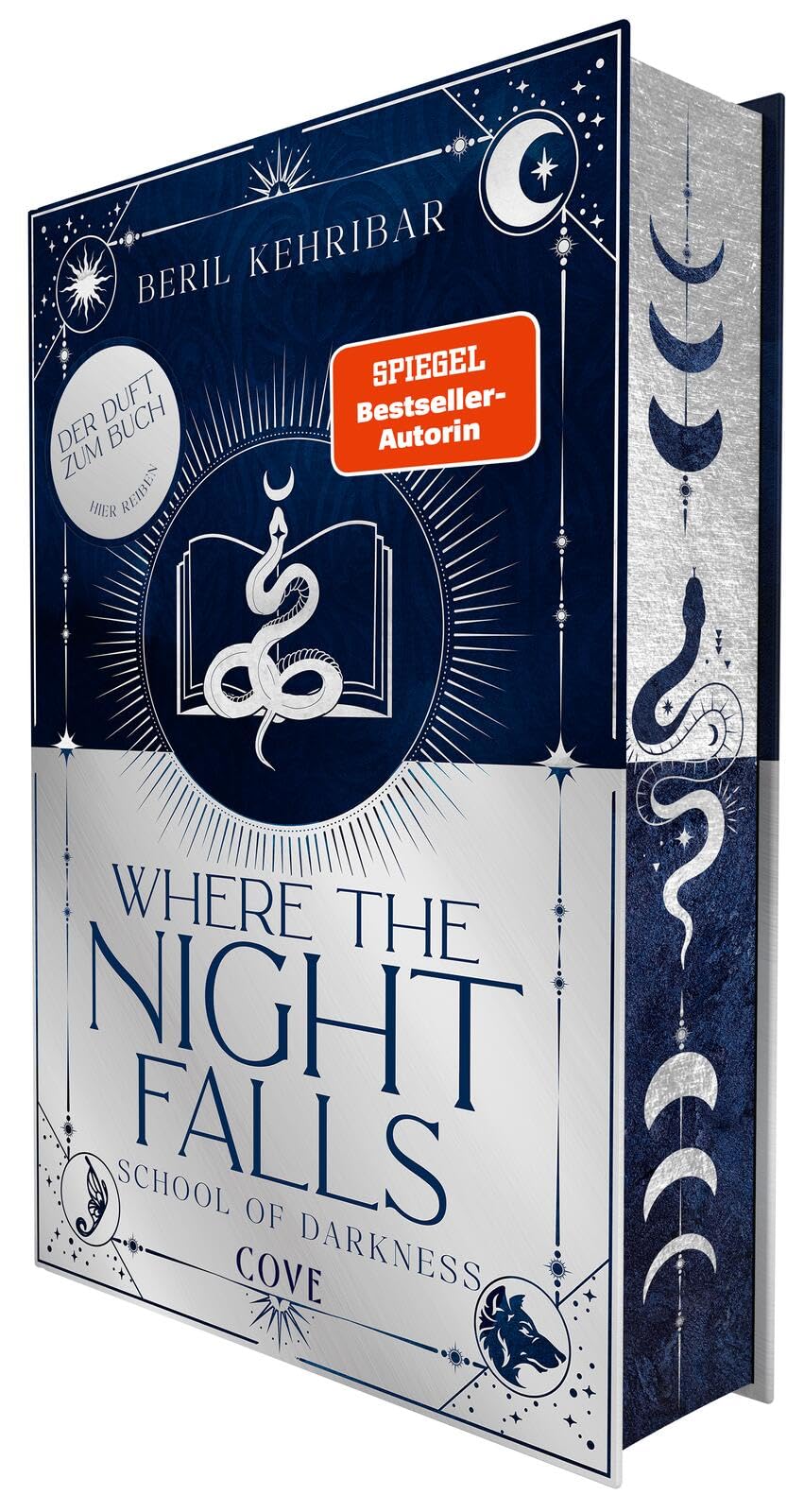 Where the Night Falls (School of Darkness 1) book
